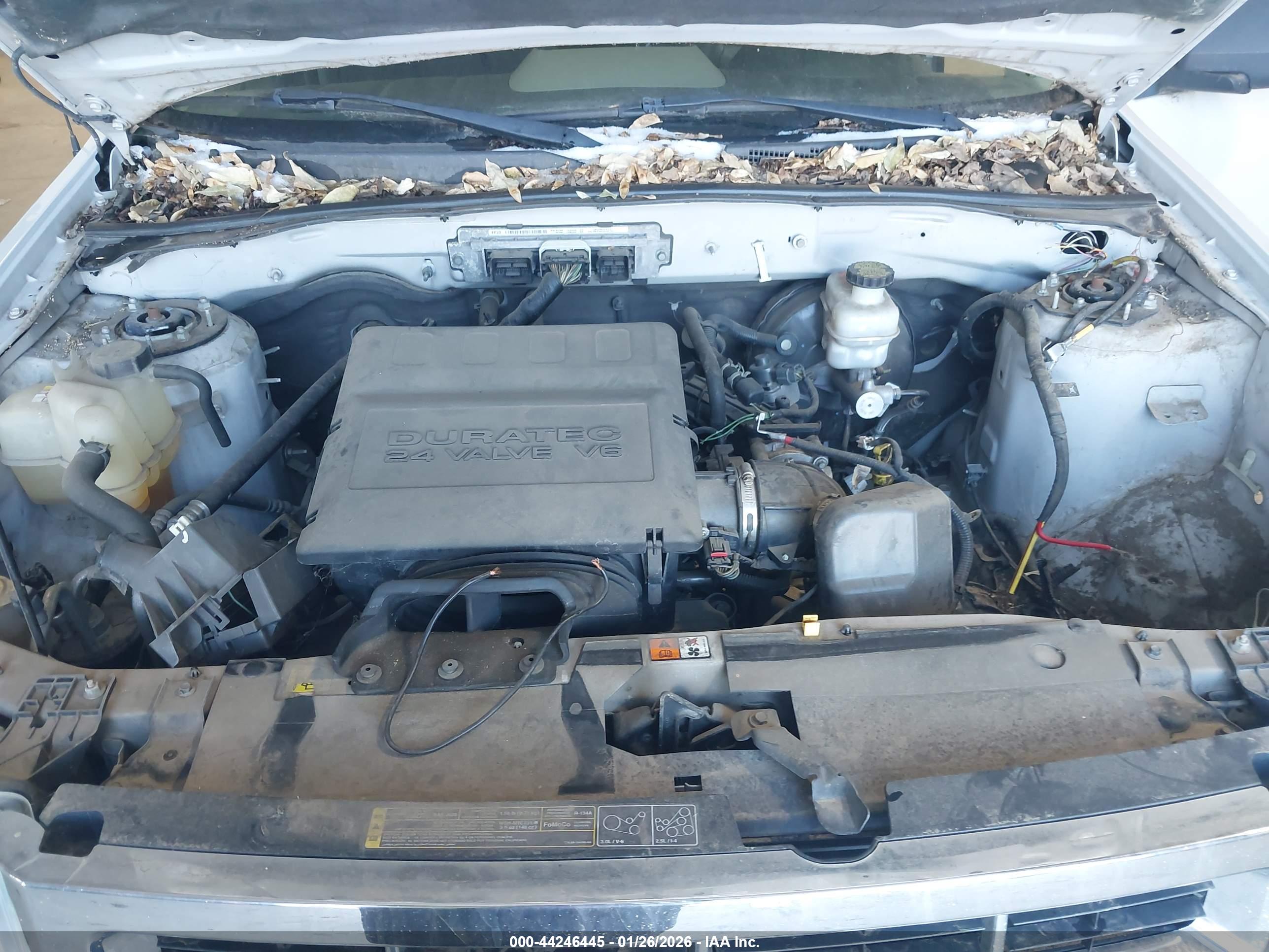 FORD ESCAPE image 10