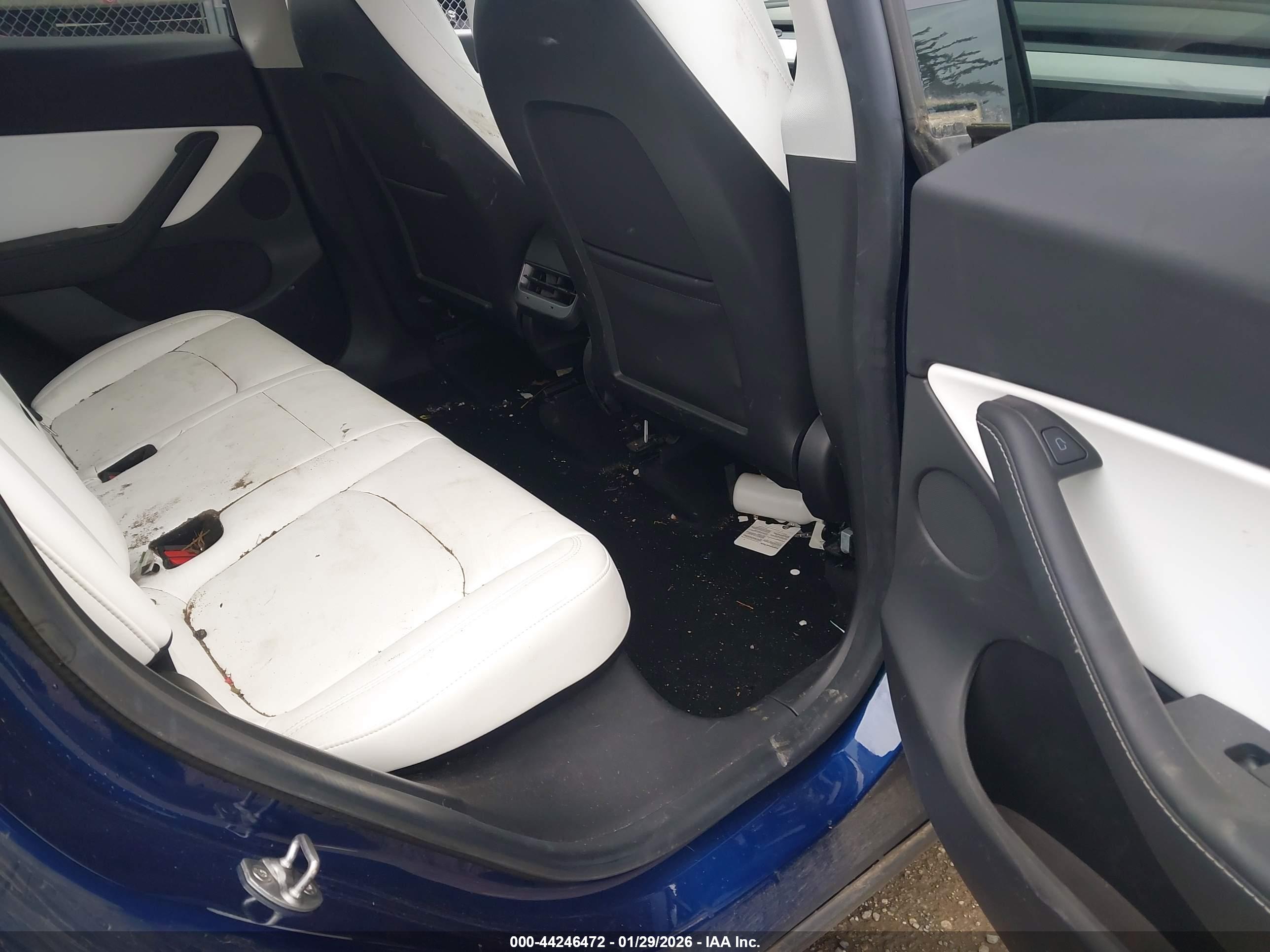 TESLA MODEL image 8