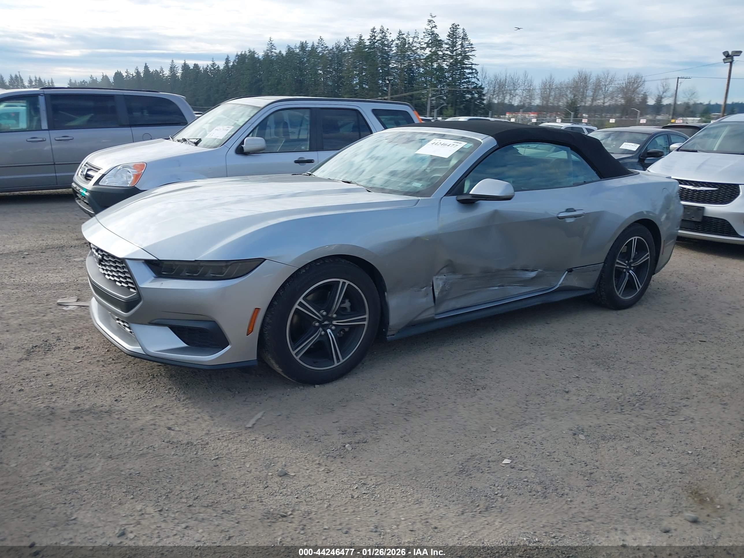 FORD MUSTANG image 2