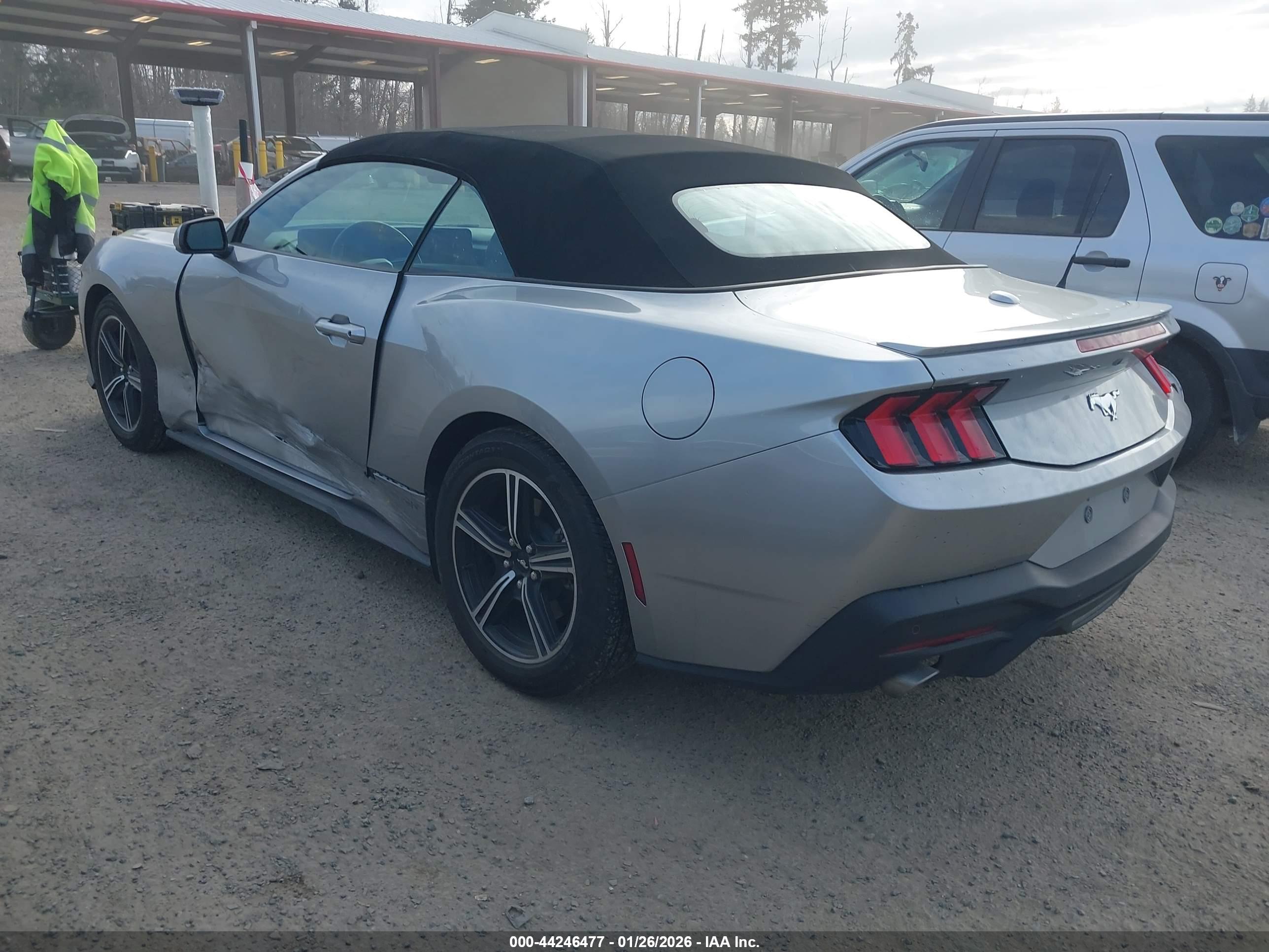 FORD MUSTANG image 3
