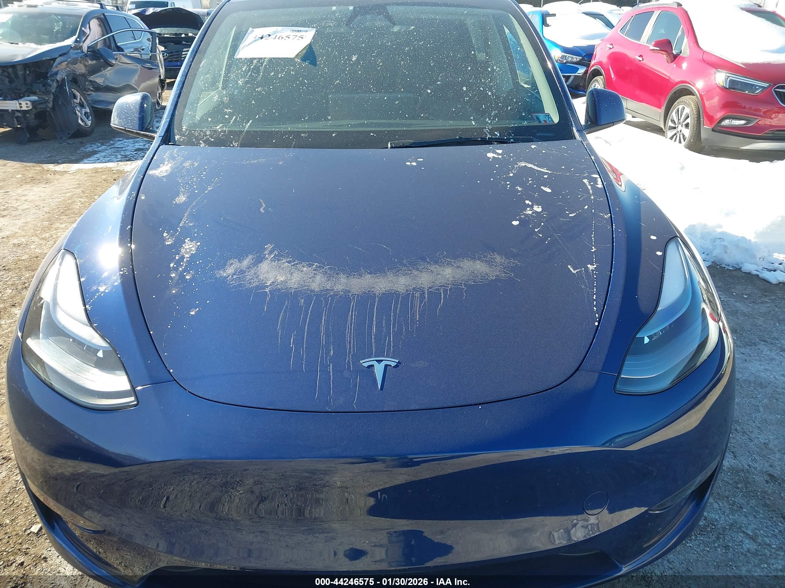 TESLA MODEL image 10