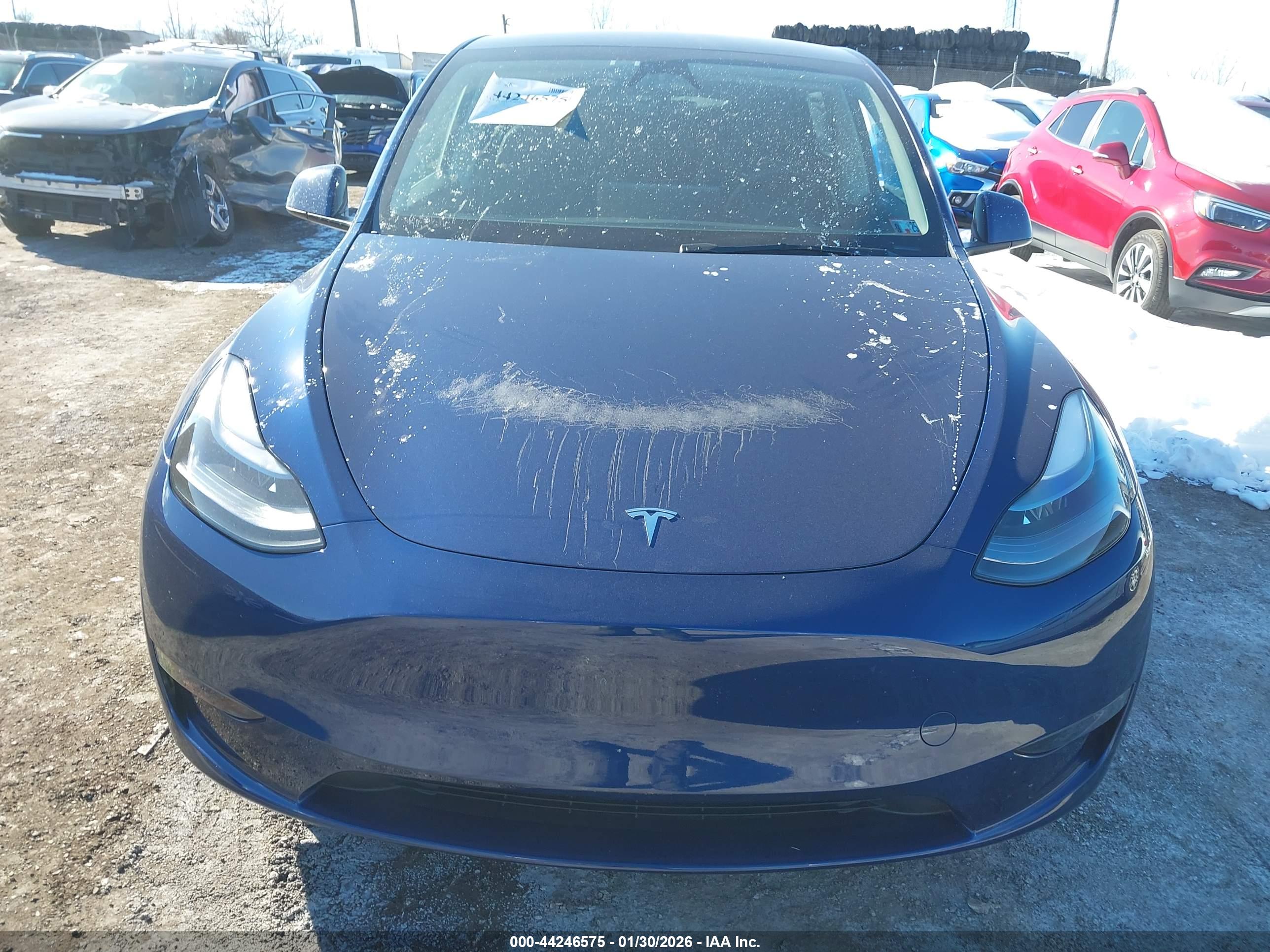 TESLA MODEL image 6