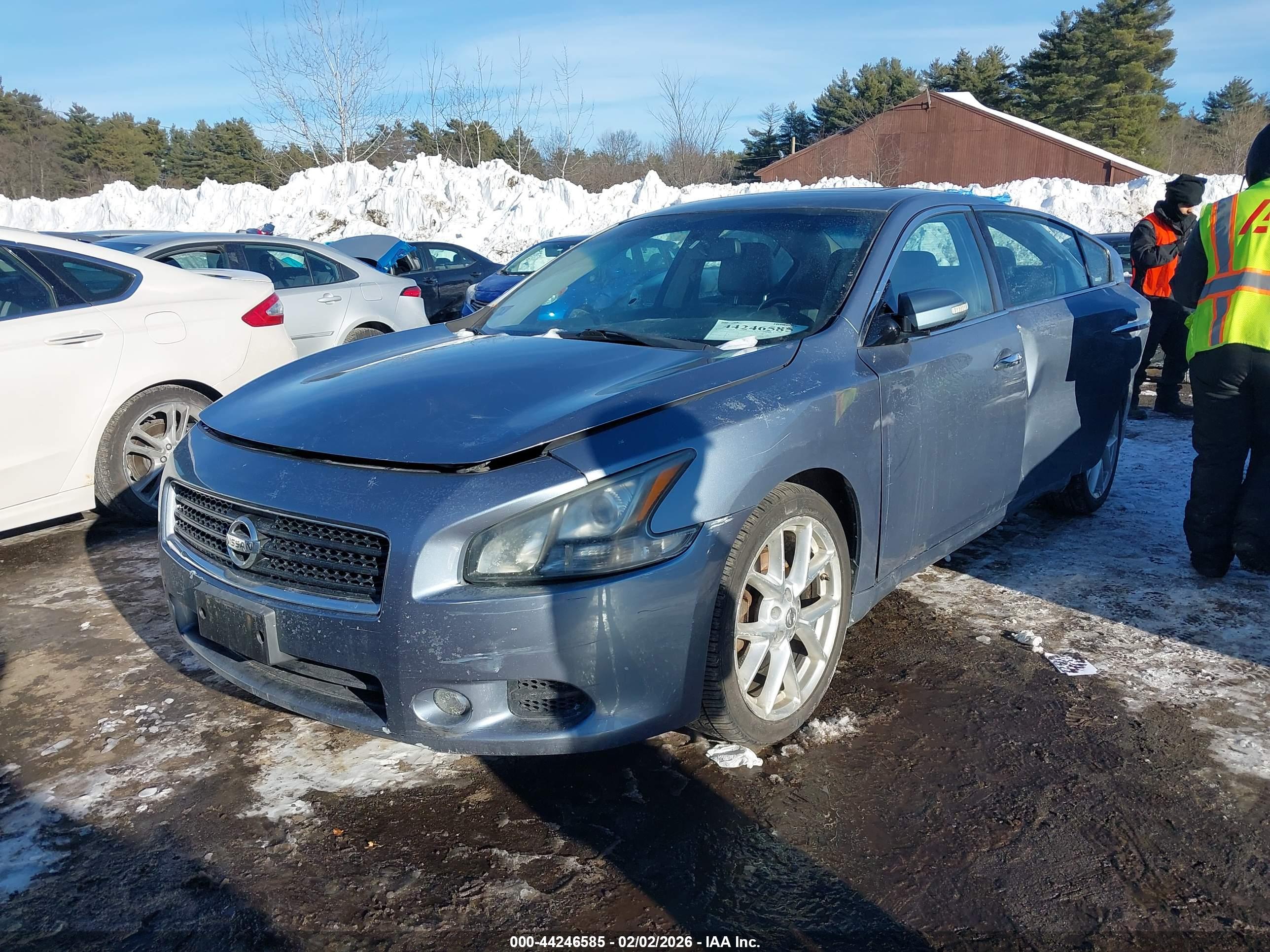 NISSAN MAXIMA image 2