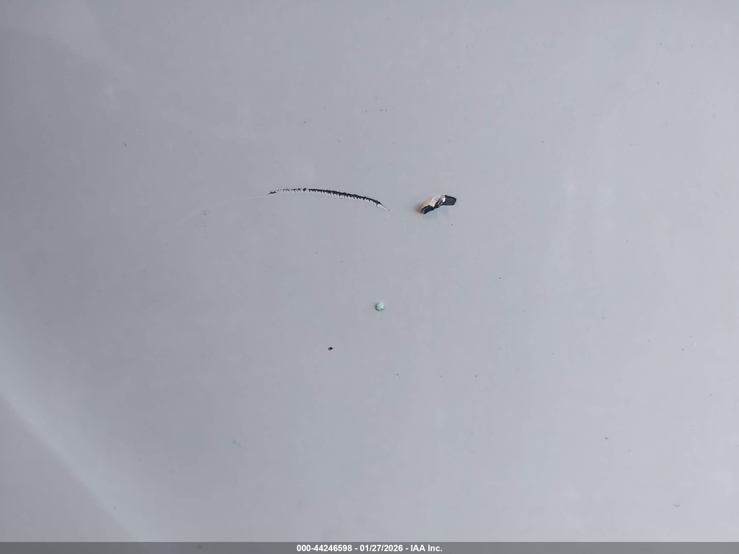 FORD ESCAPE image 6