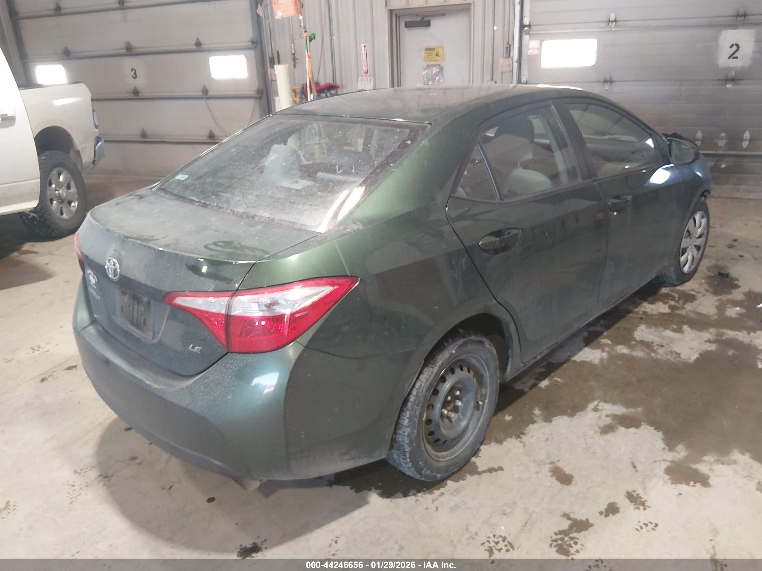 TOYOTA COROLLA image 4