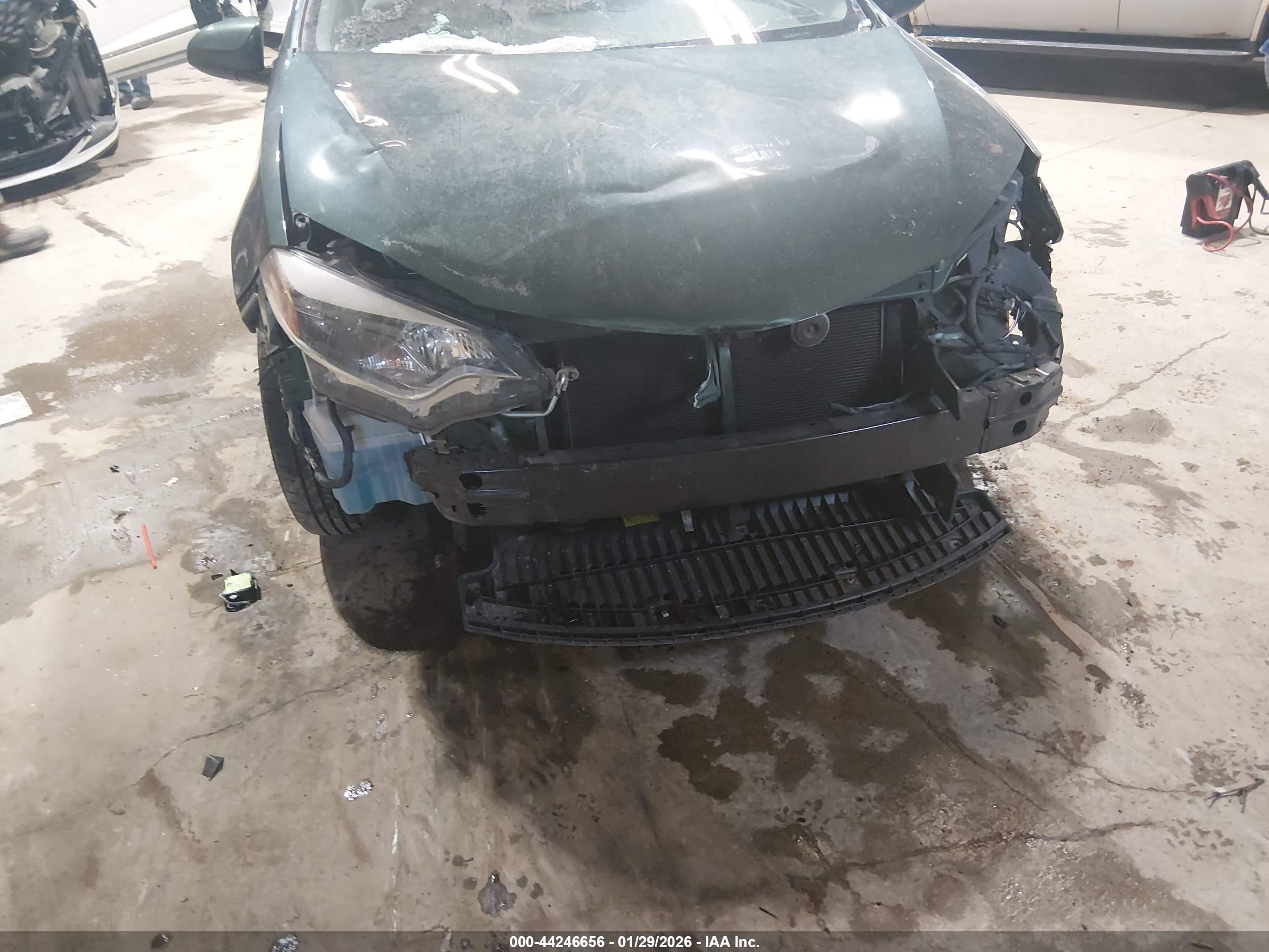 TOYOTA COROLLA image 6