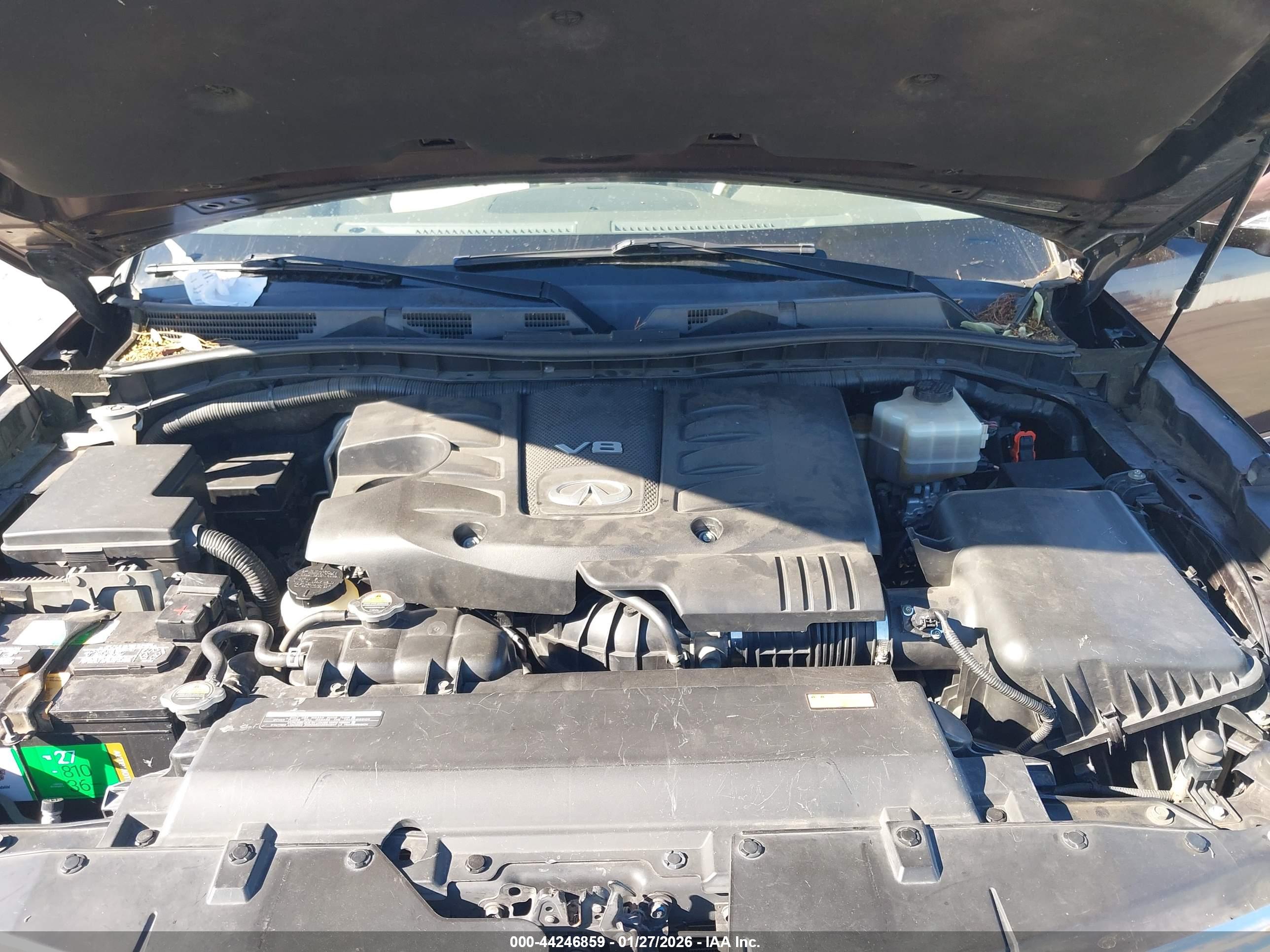 INFINITI QX80 image 10