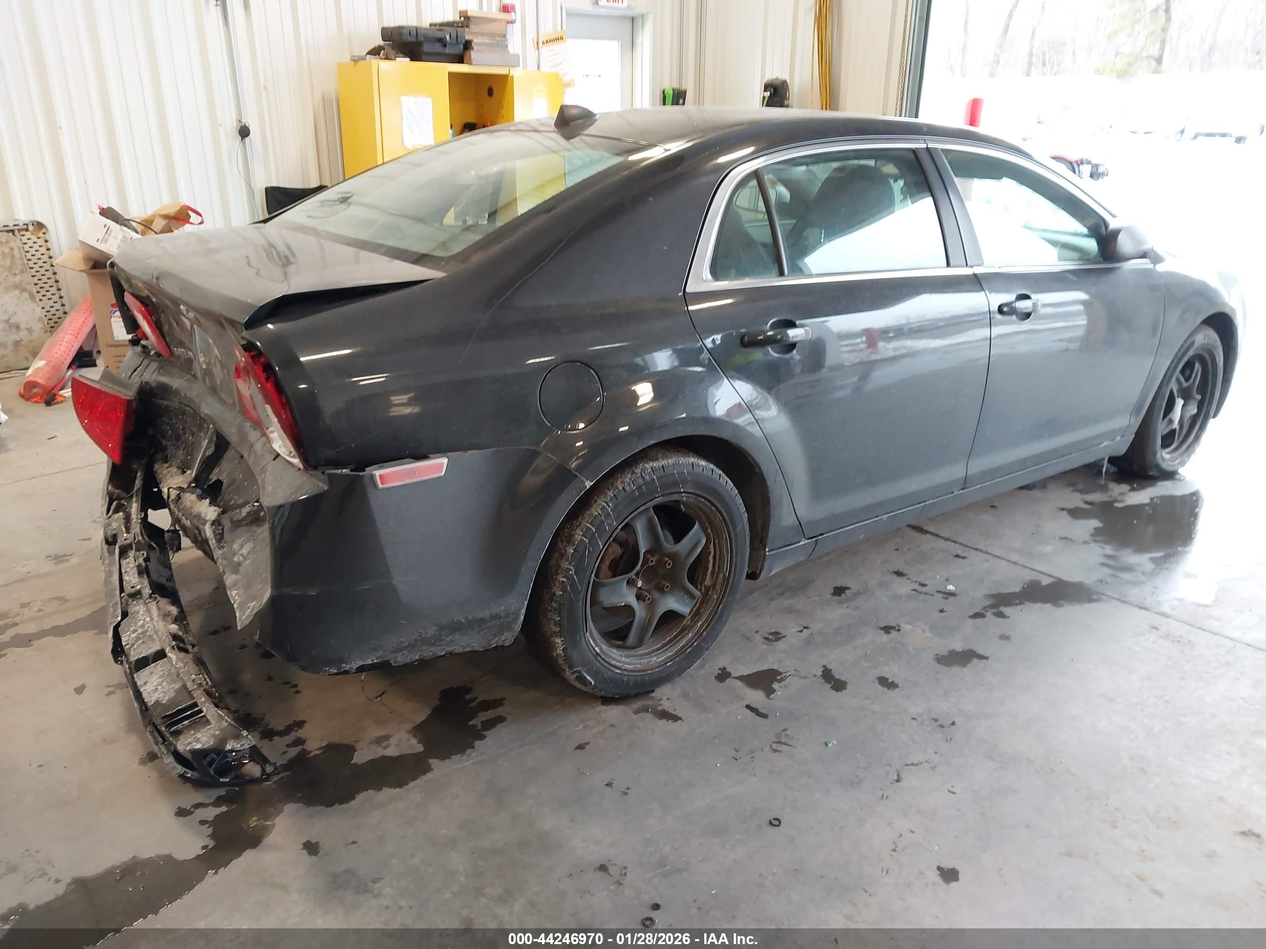 CHEVROLET MALIBU image 4