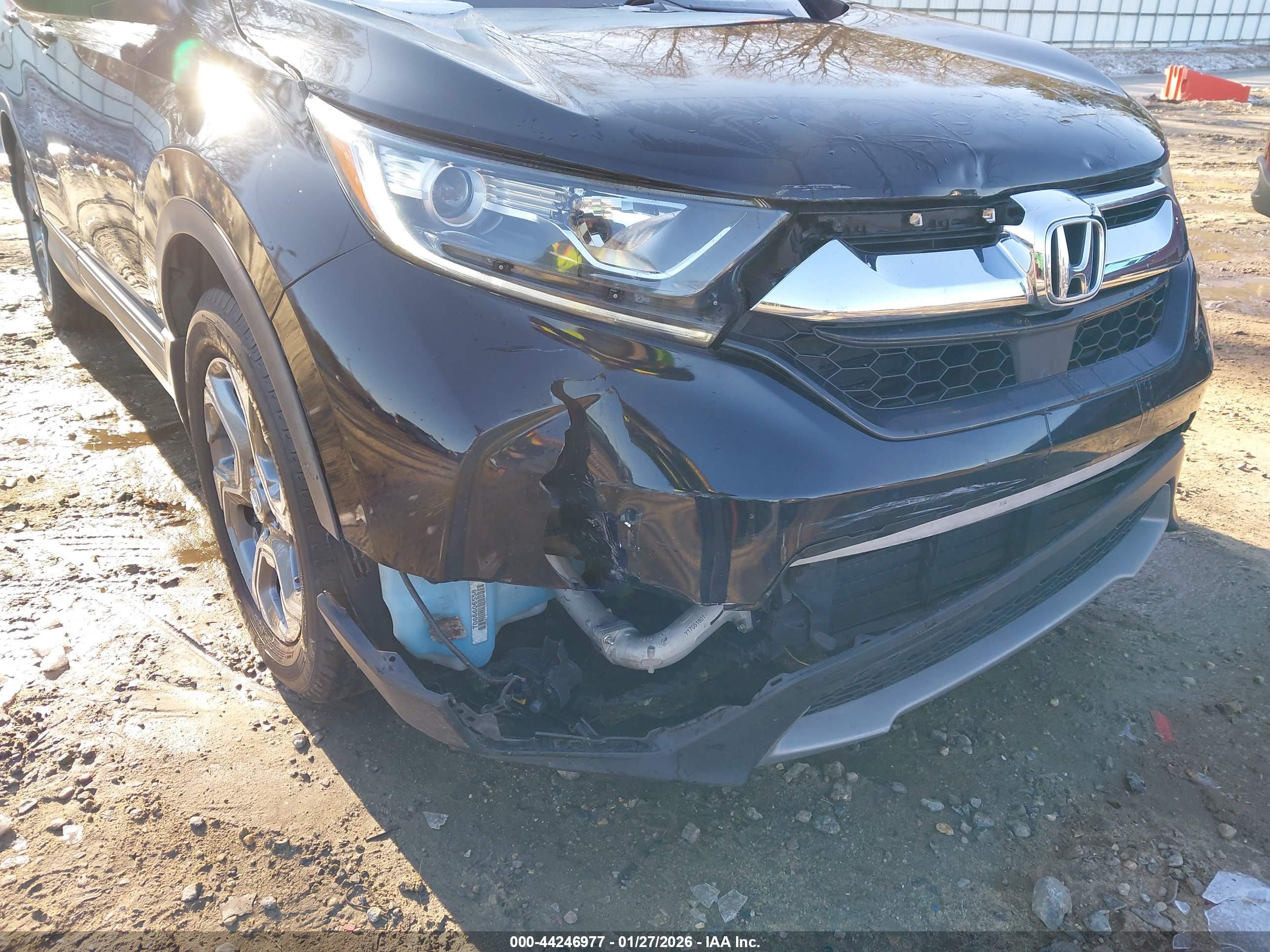 HONDA CR-V image 6