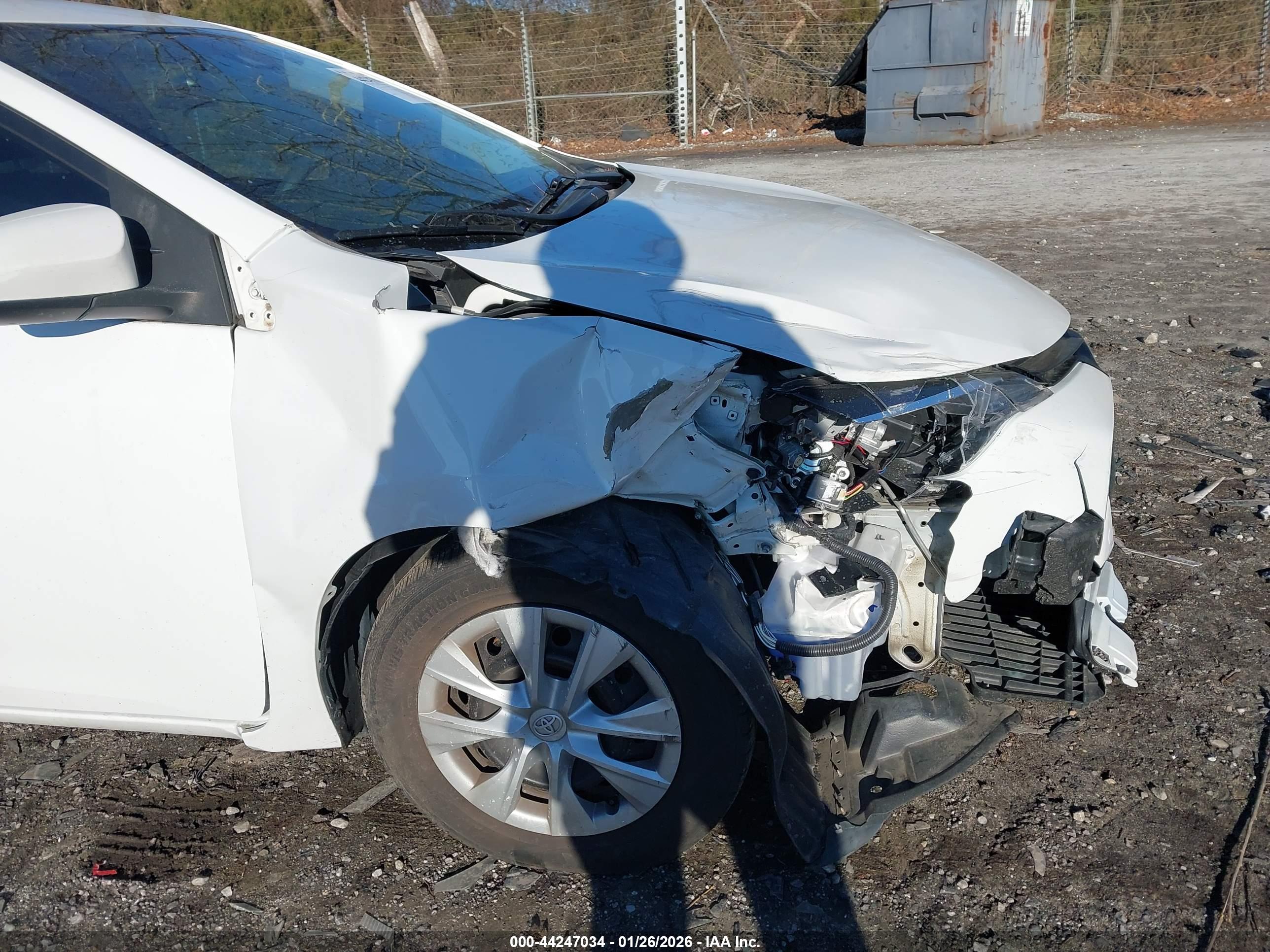TOYOTA COROLLA image 6