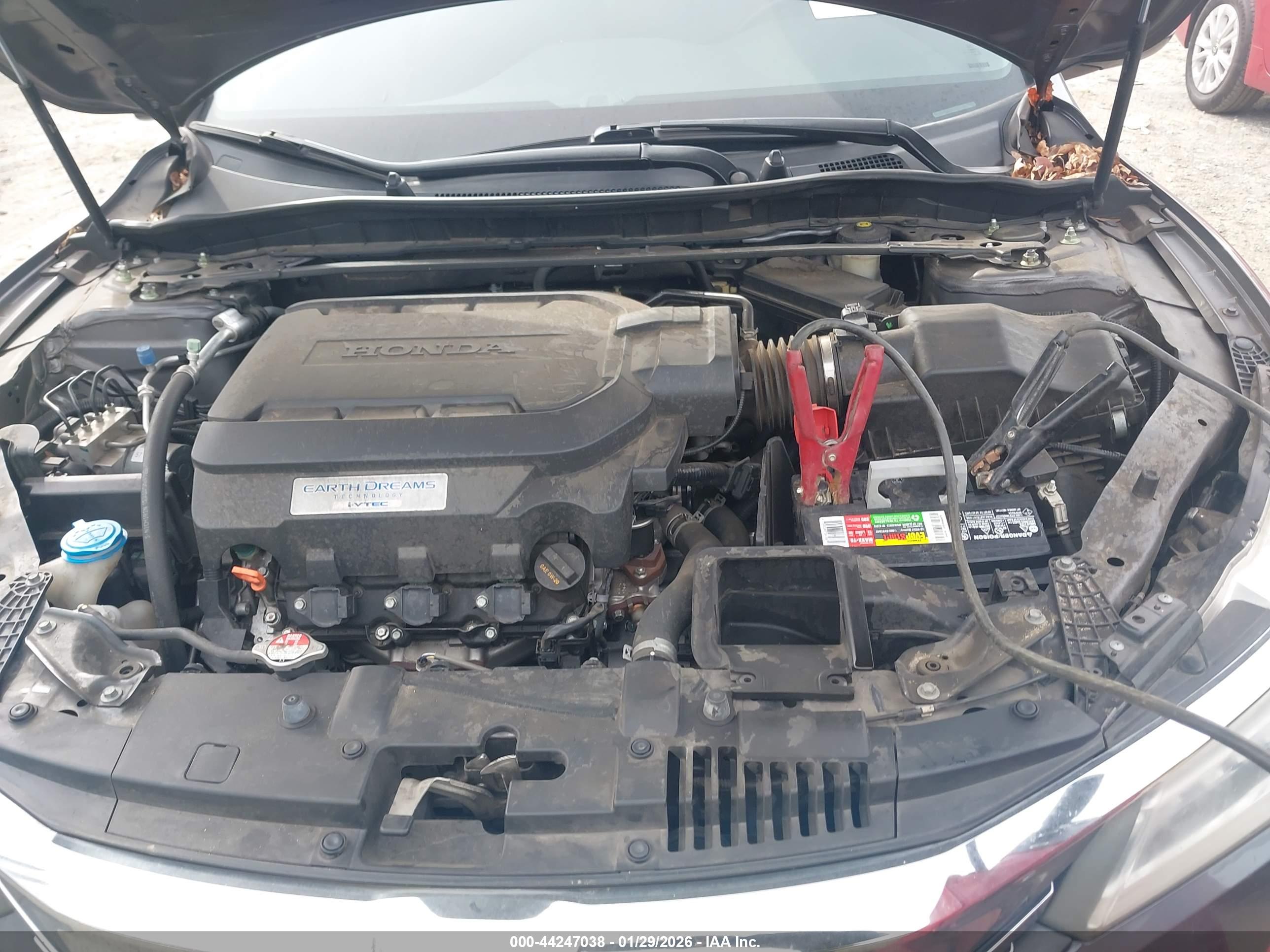 HONDA ACCORD image 10