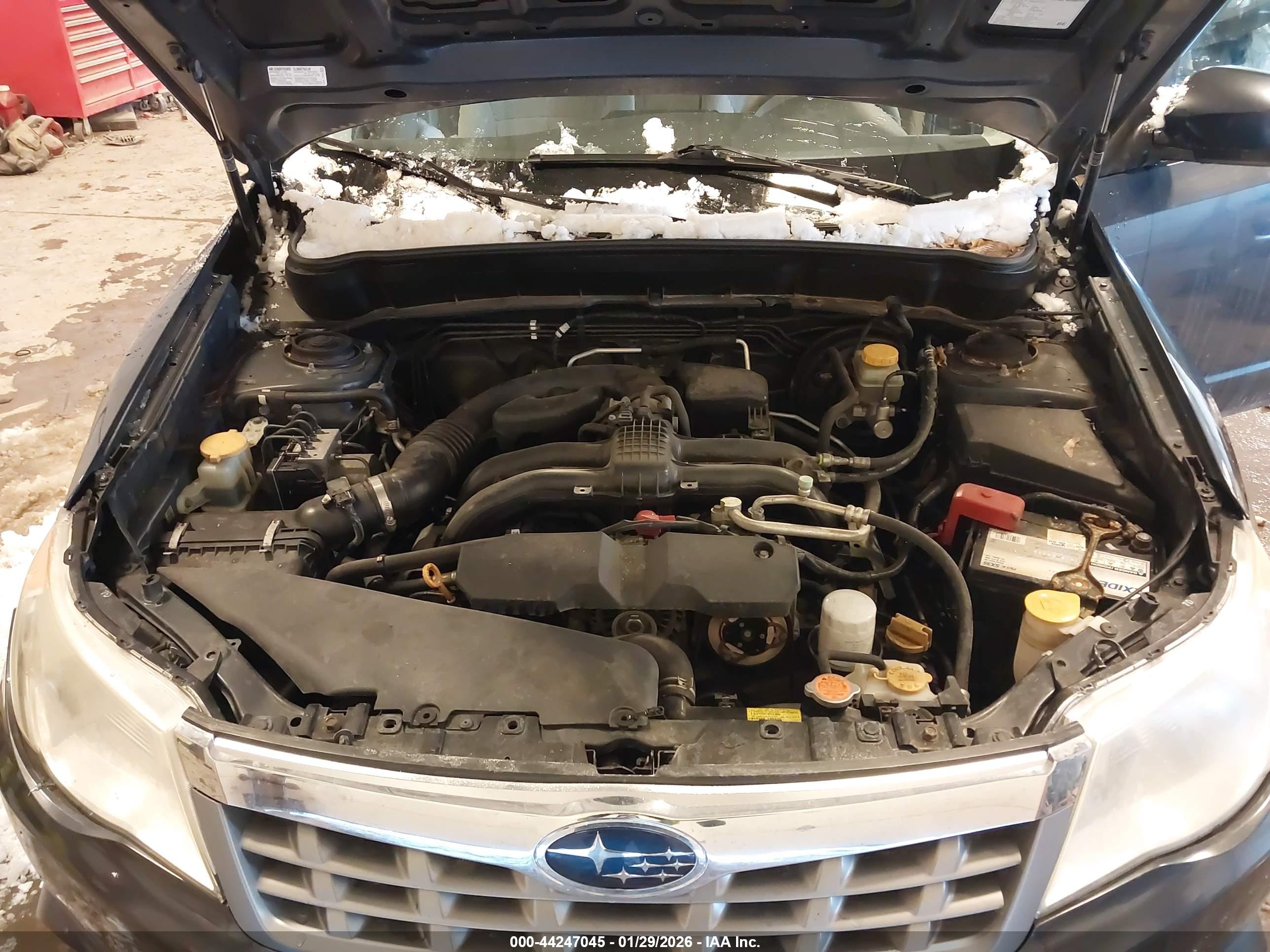 SUBARU FORESTER image 10