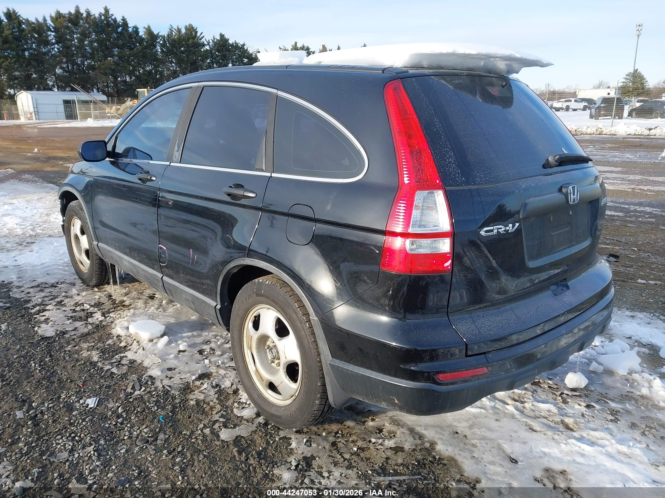 HONDA CR-V image 3