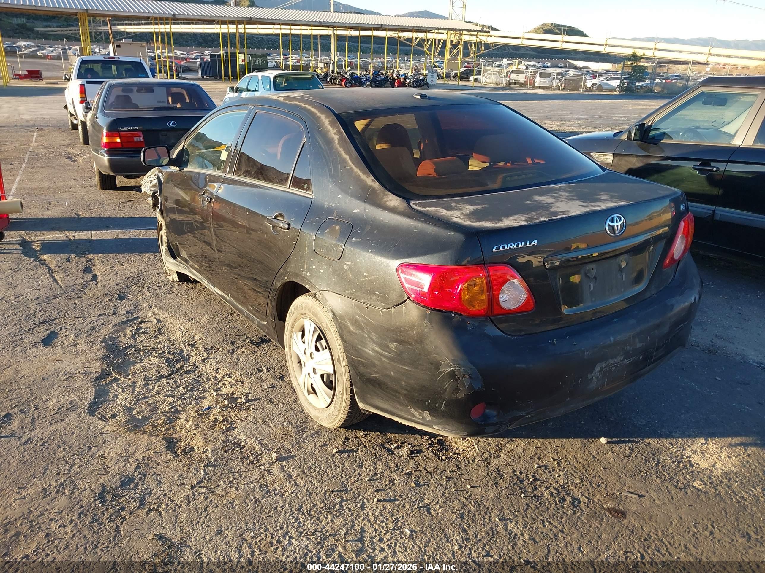 TOYOTA COROLLA image 3