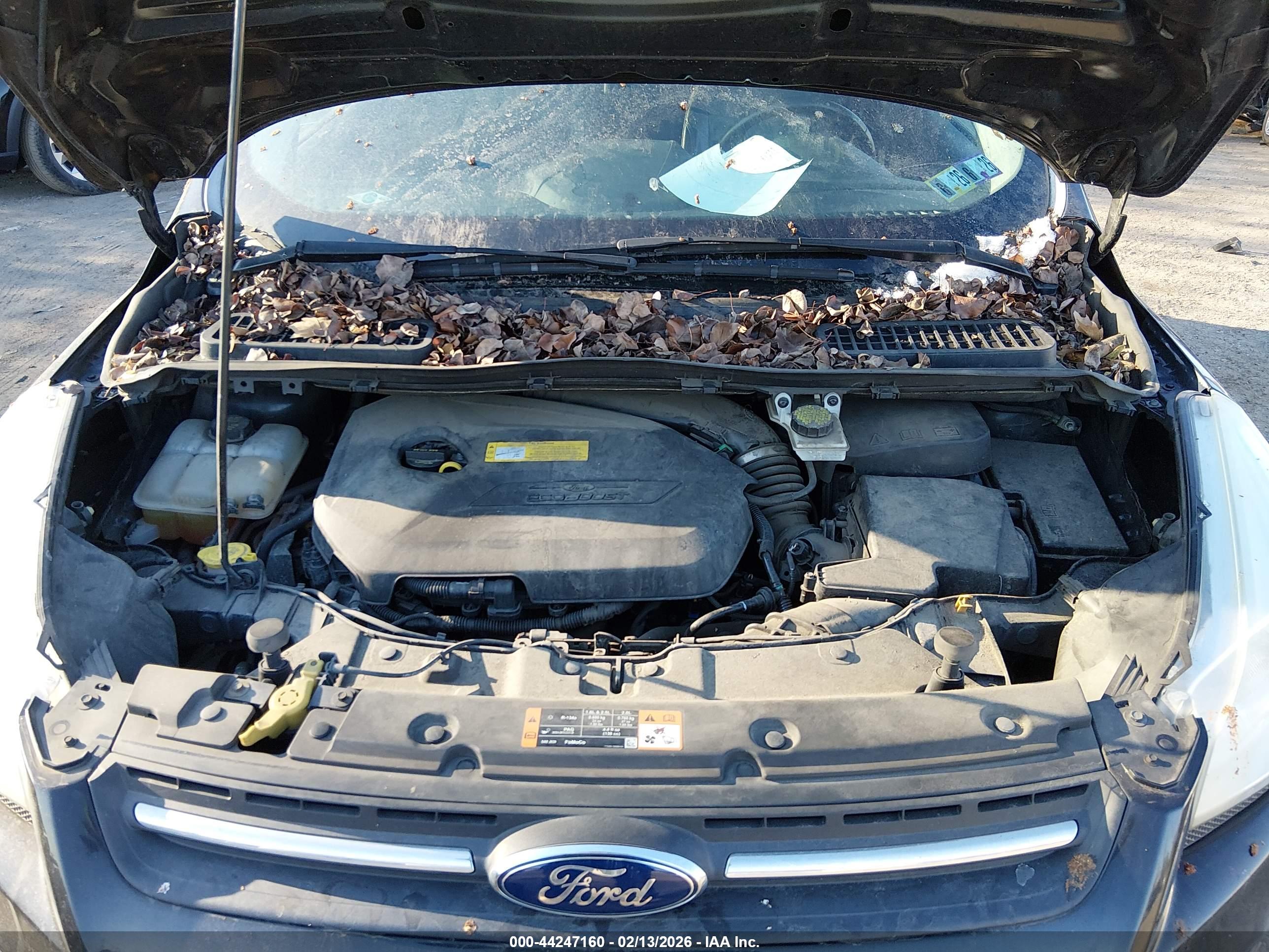 FORD ESCAPE image 10