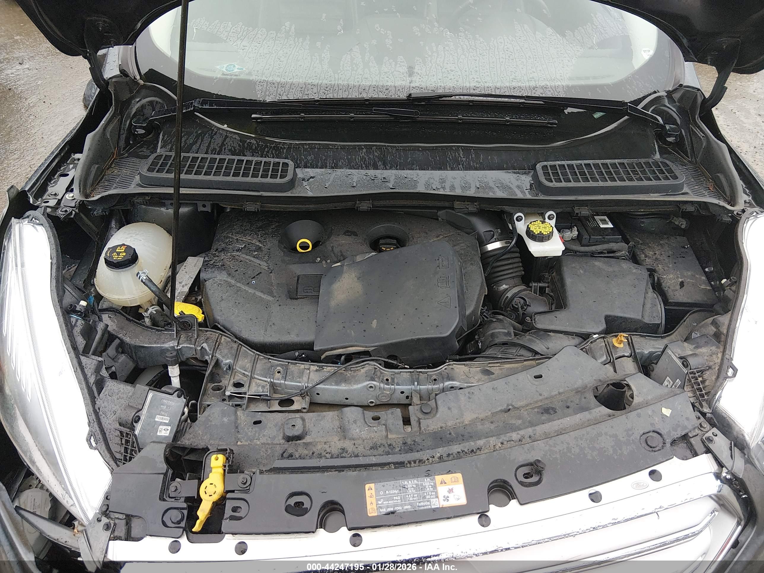 FORD ESCAPE image 10