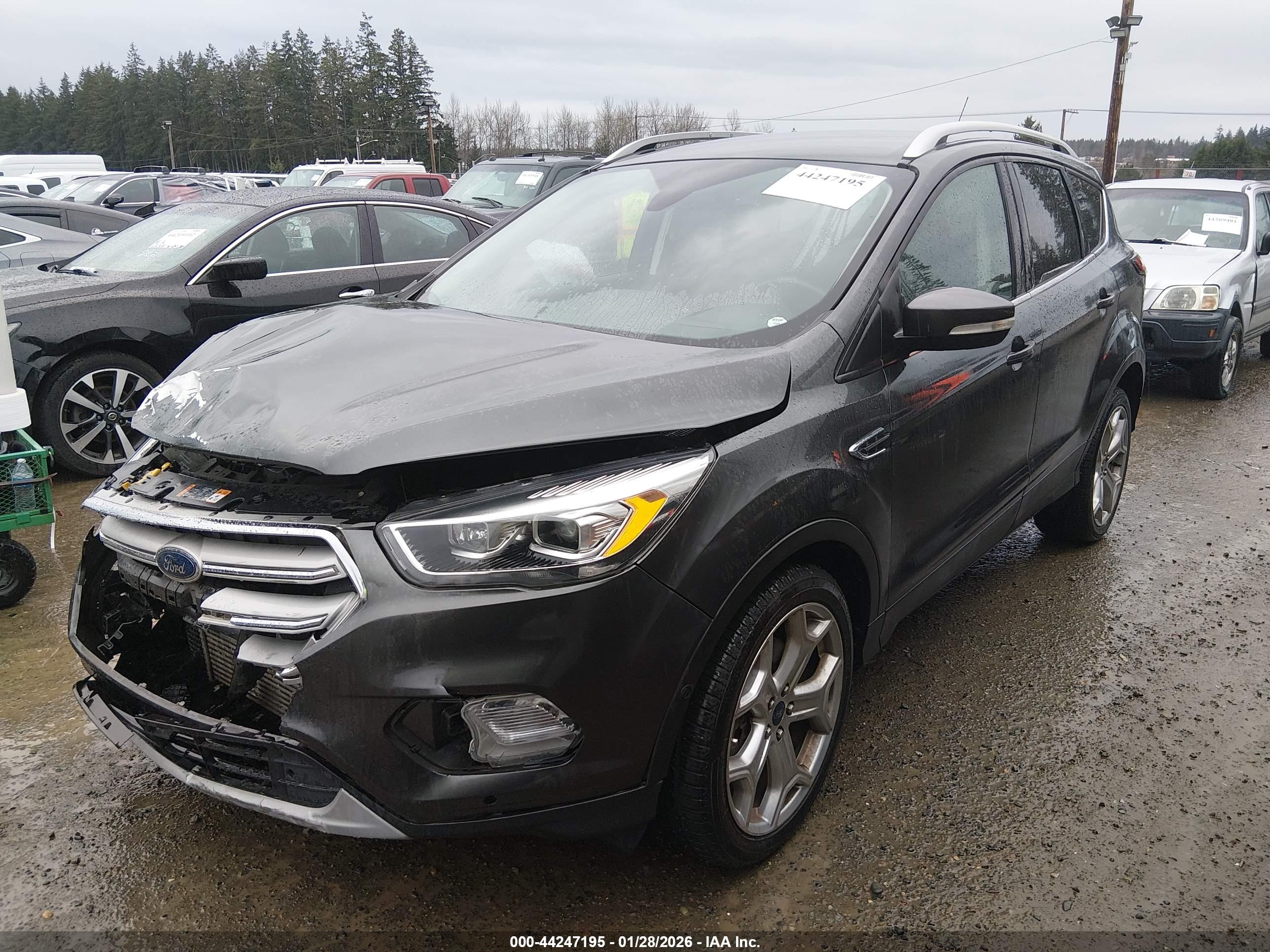 FORD ESCAPE image 2