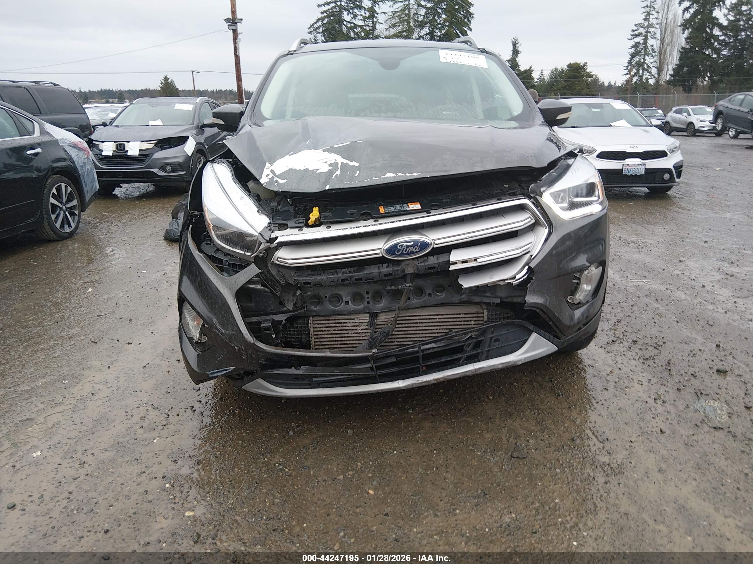 FORD ESCAPE image 6