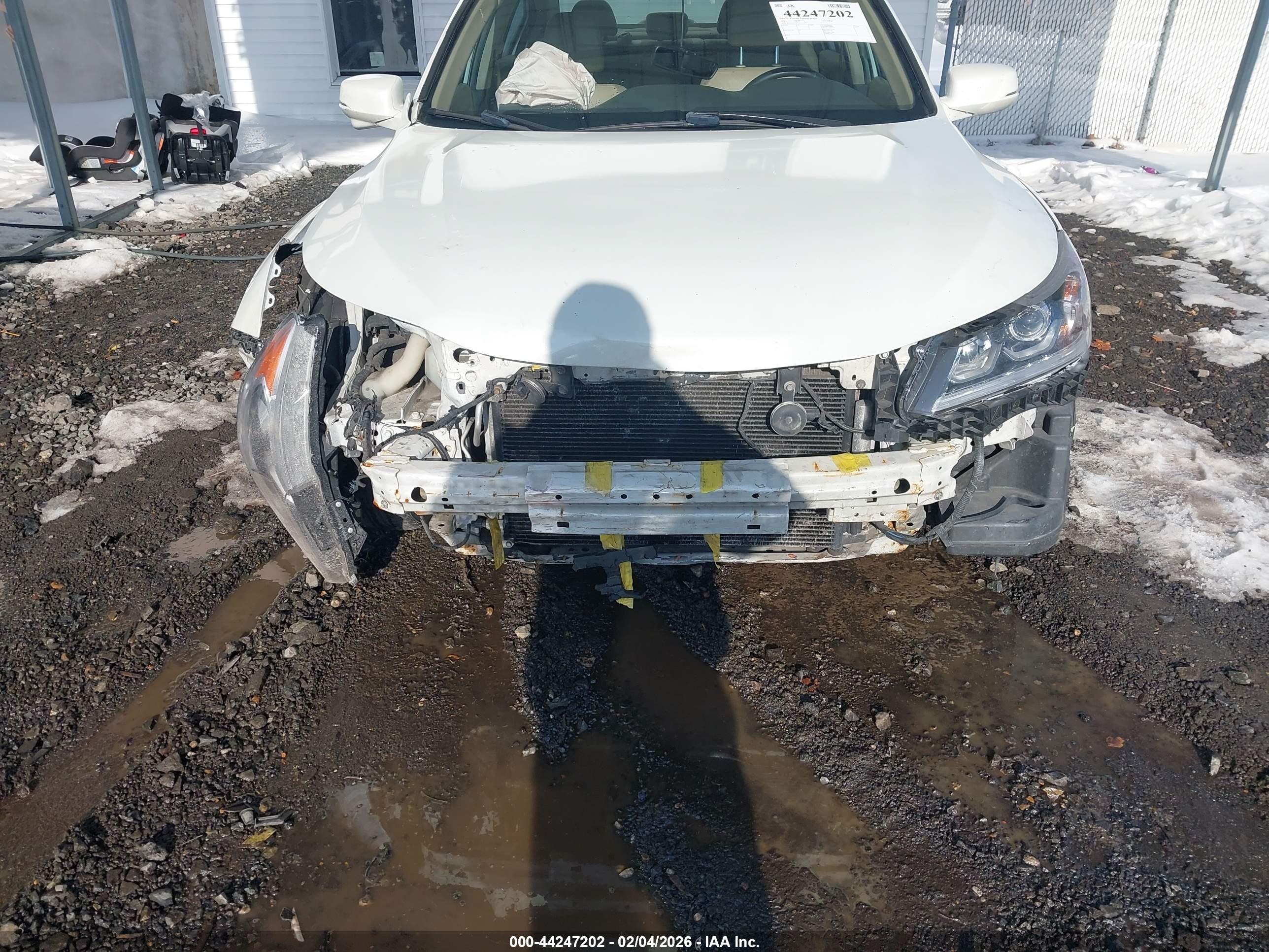 HONDA ACCORD image 6
