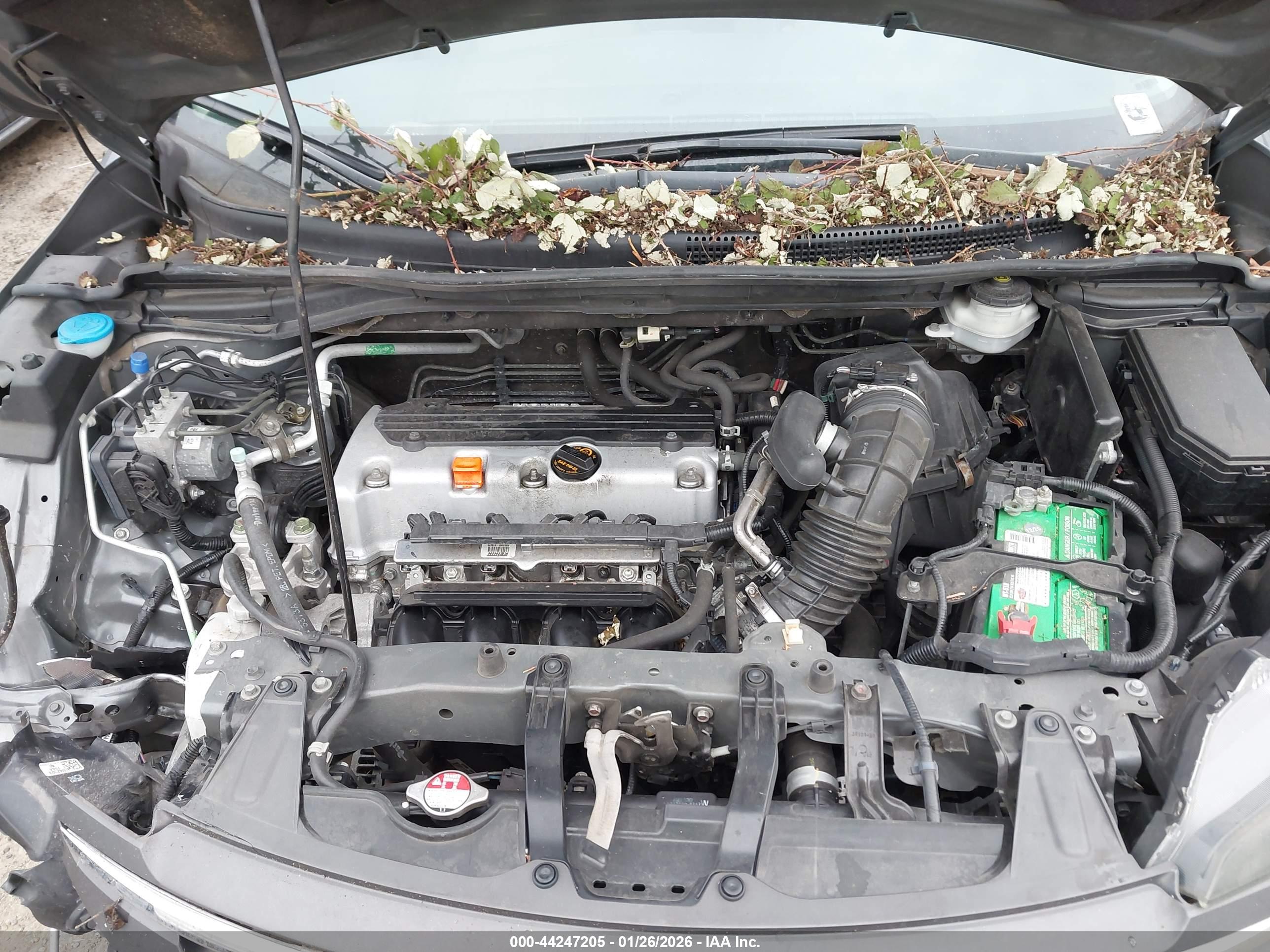 HONDA CR-V image 10