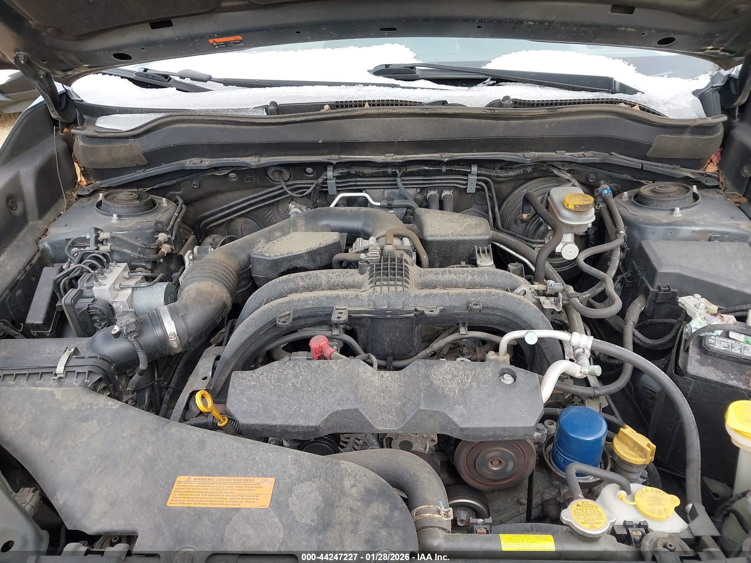 SUBARU FORESTER image 10
