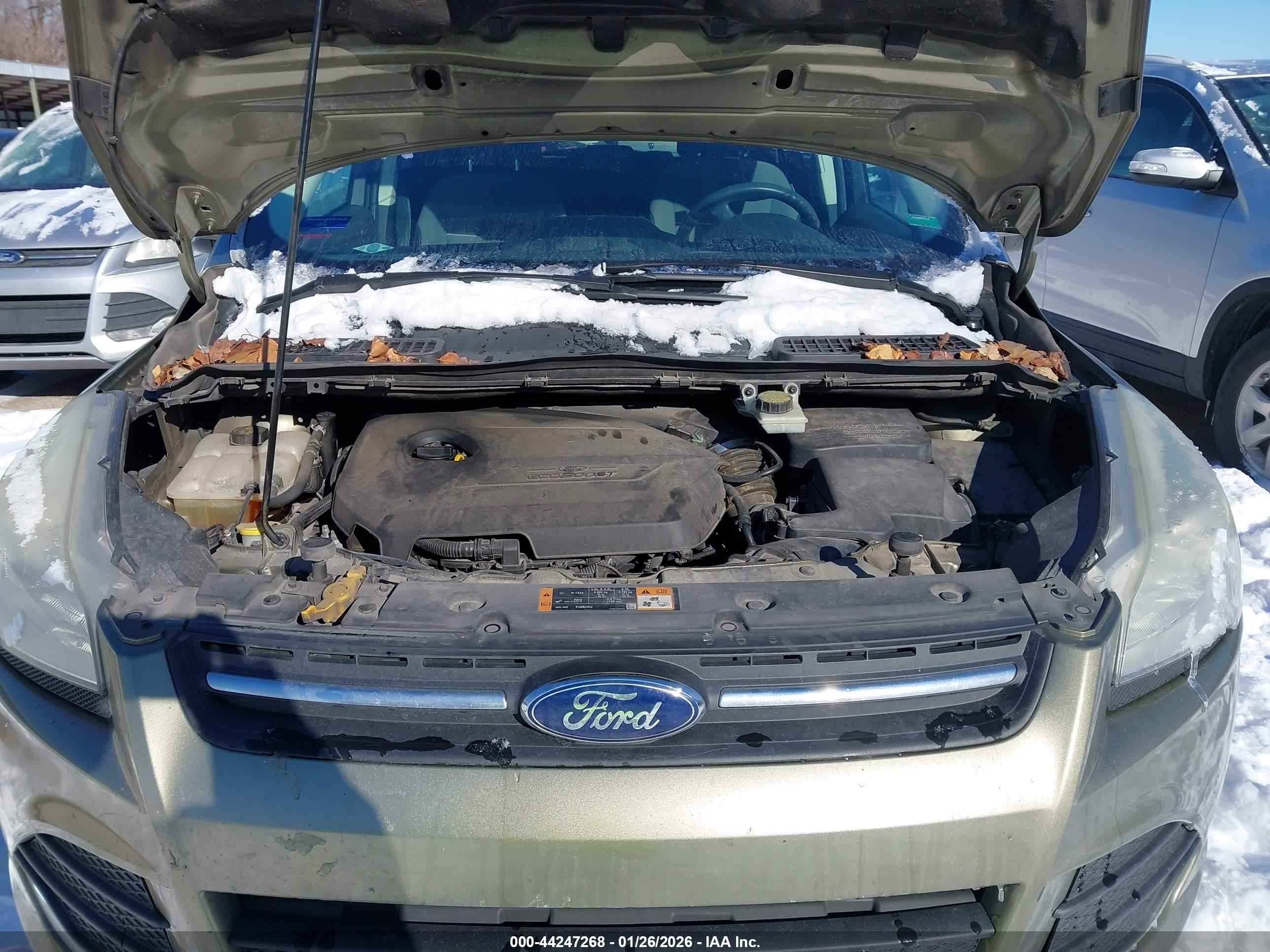 FORD ESCAPE image 10