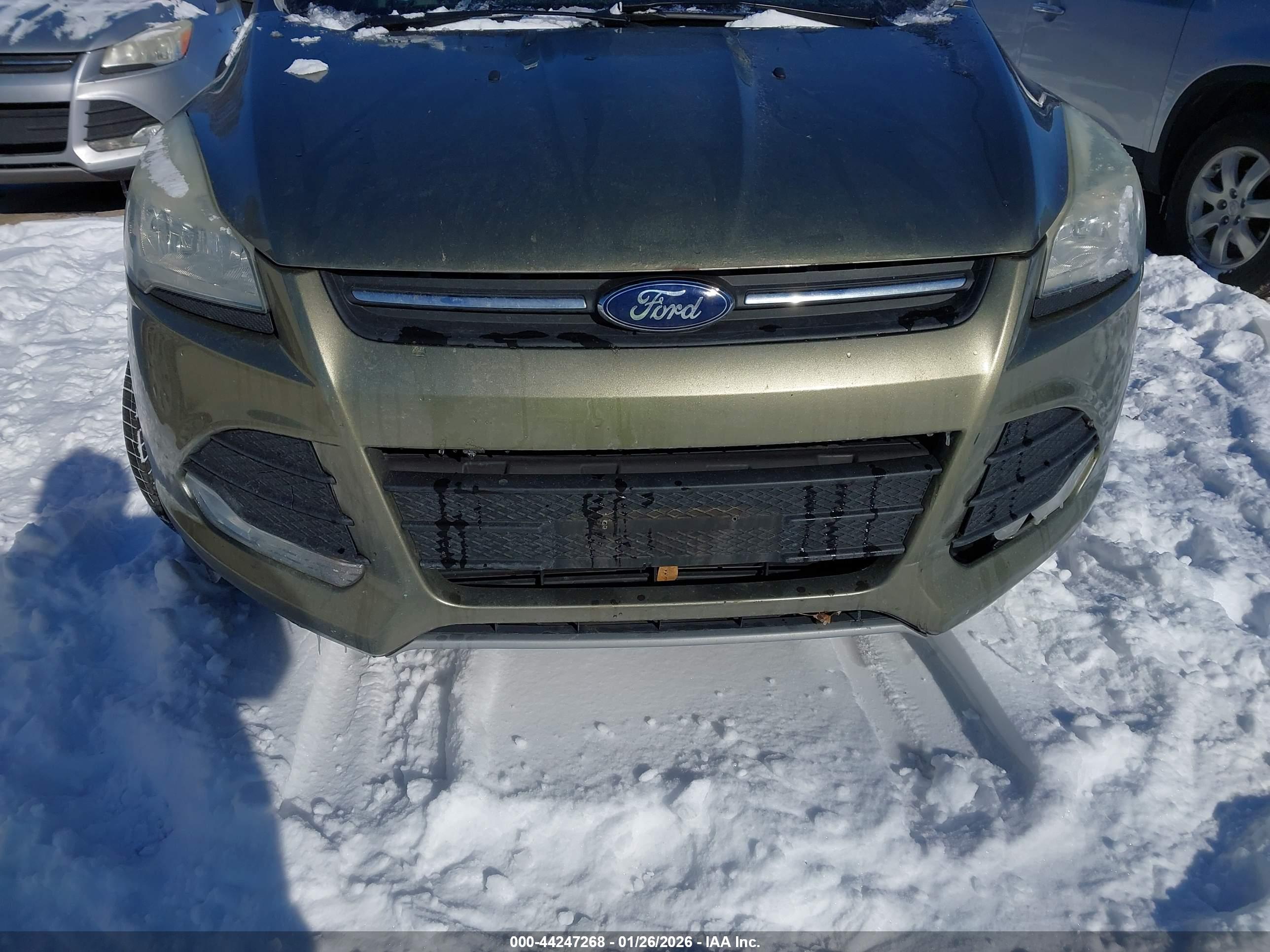 FORD ESCAPE image 6