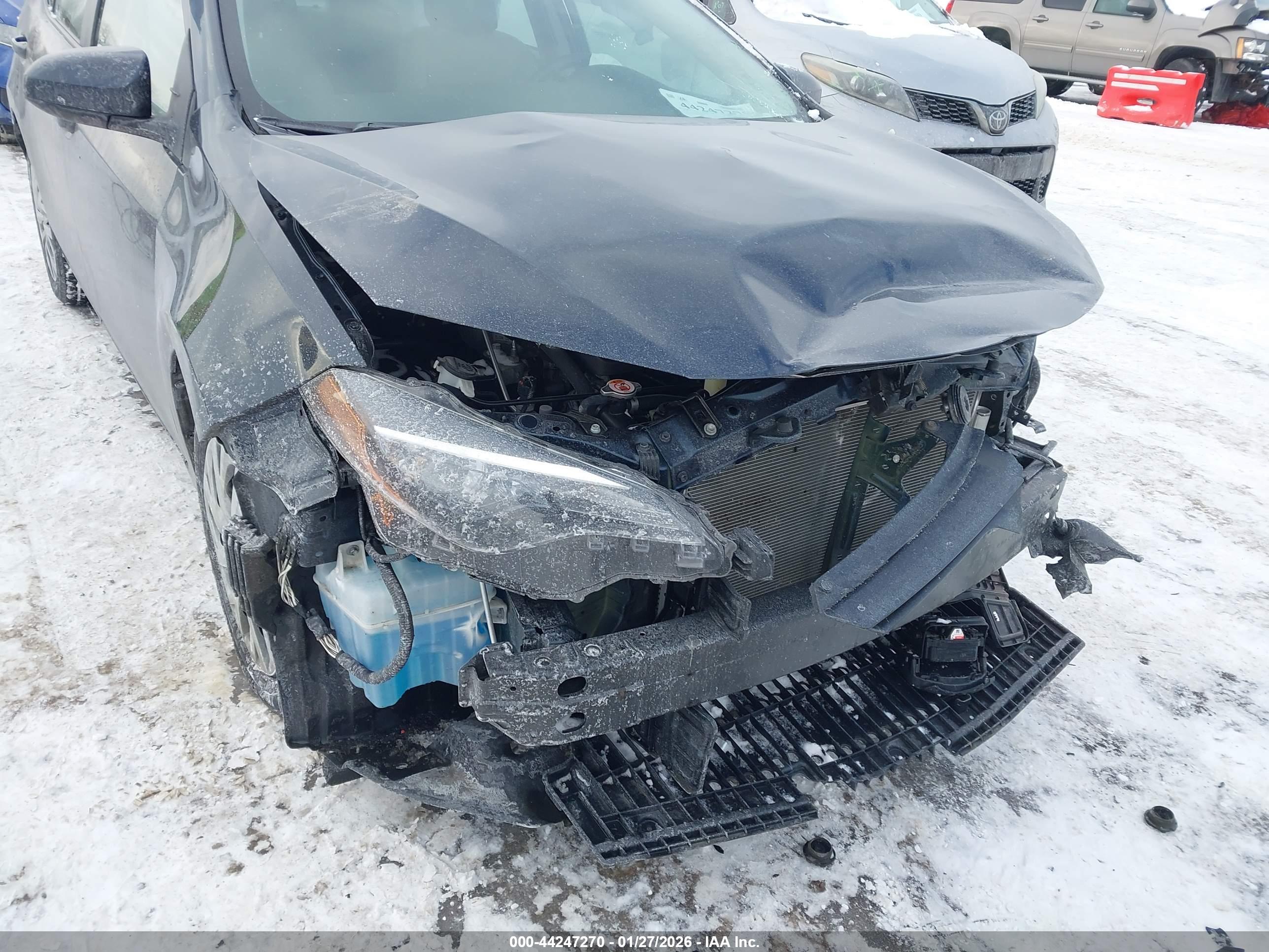 TOYOTA COROLLA image 6