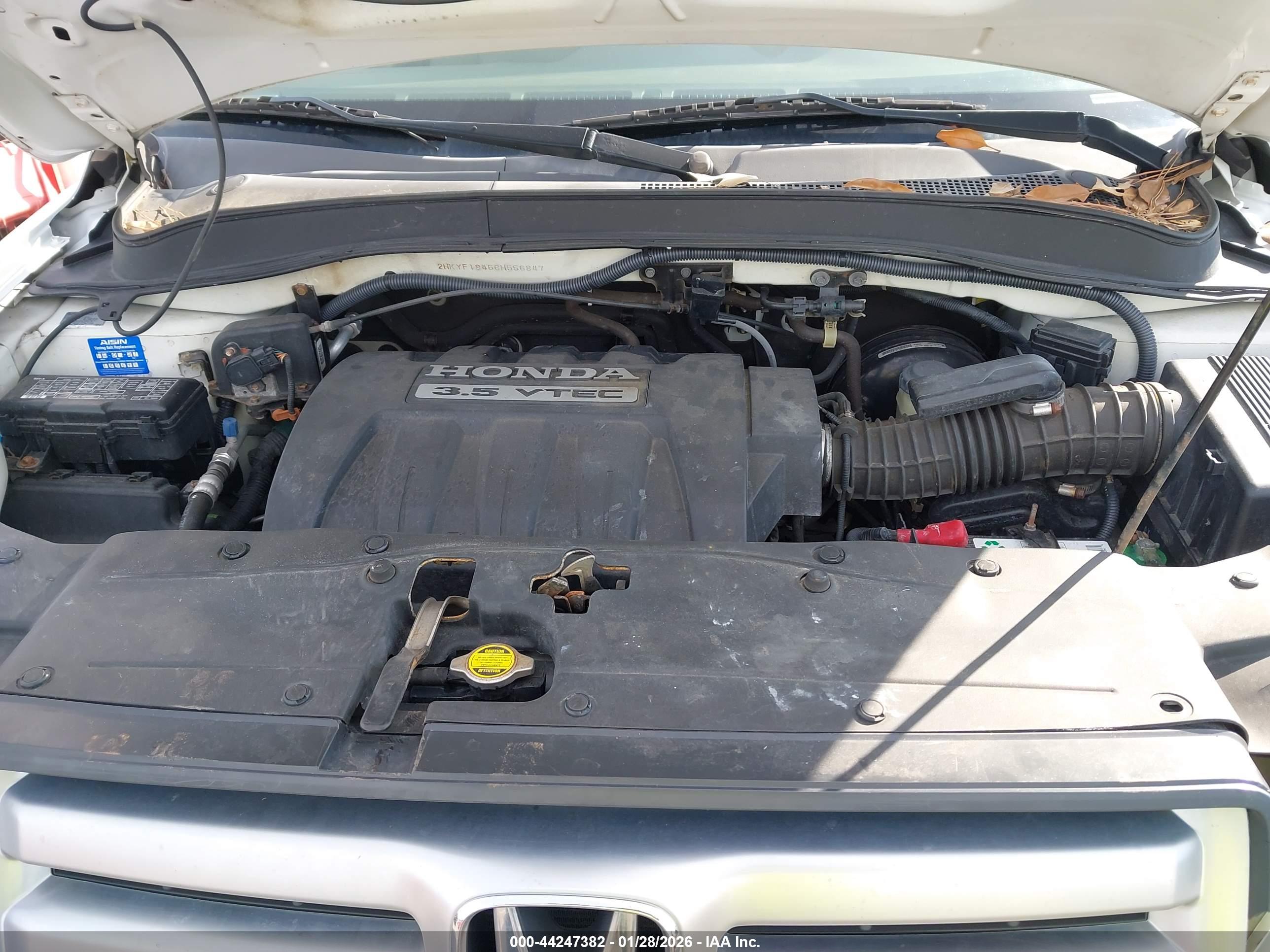 HONDA PILOT image 10