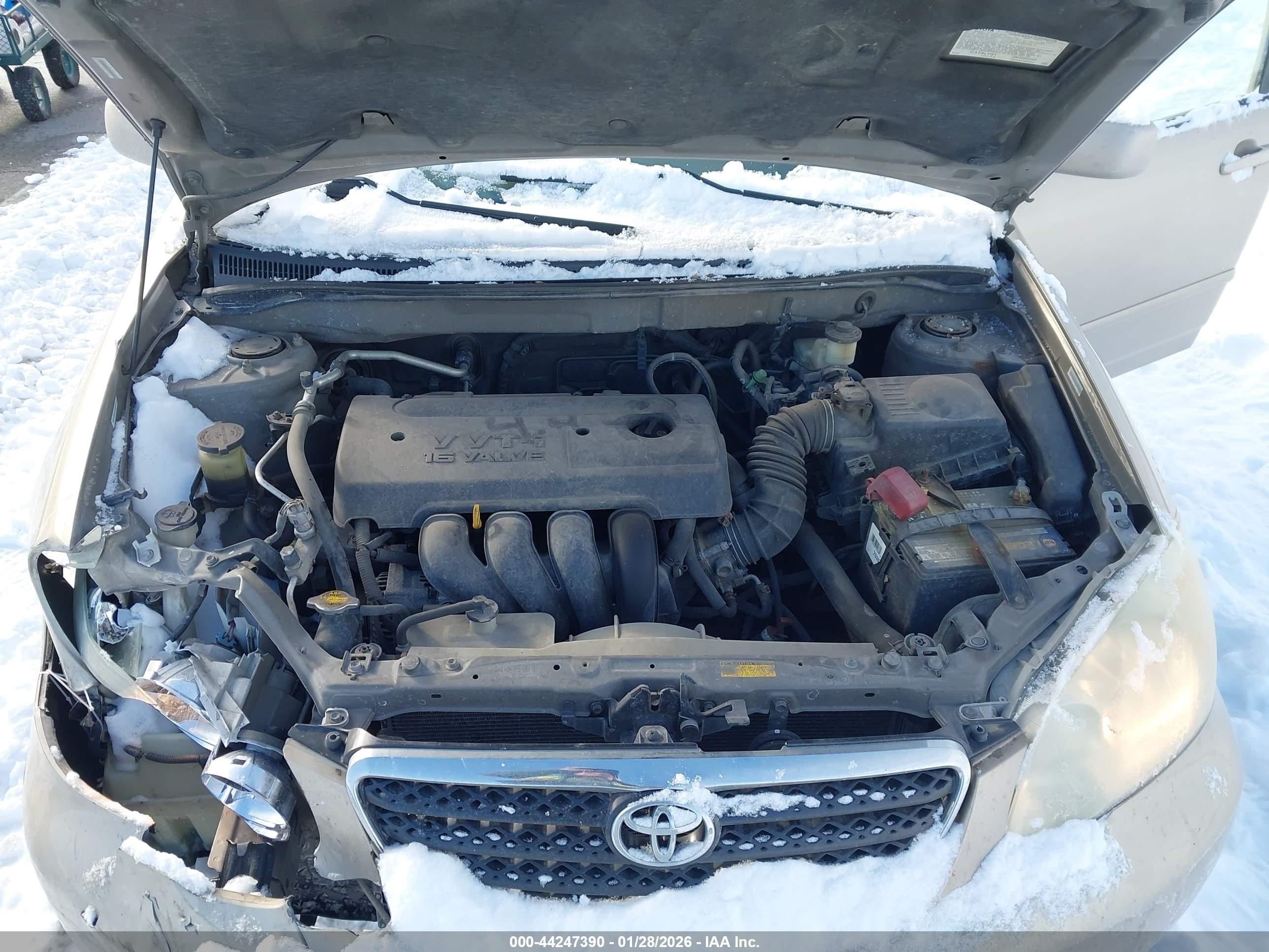 TOYOTA COROLLA image 10