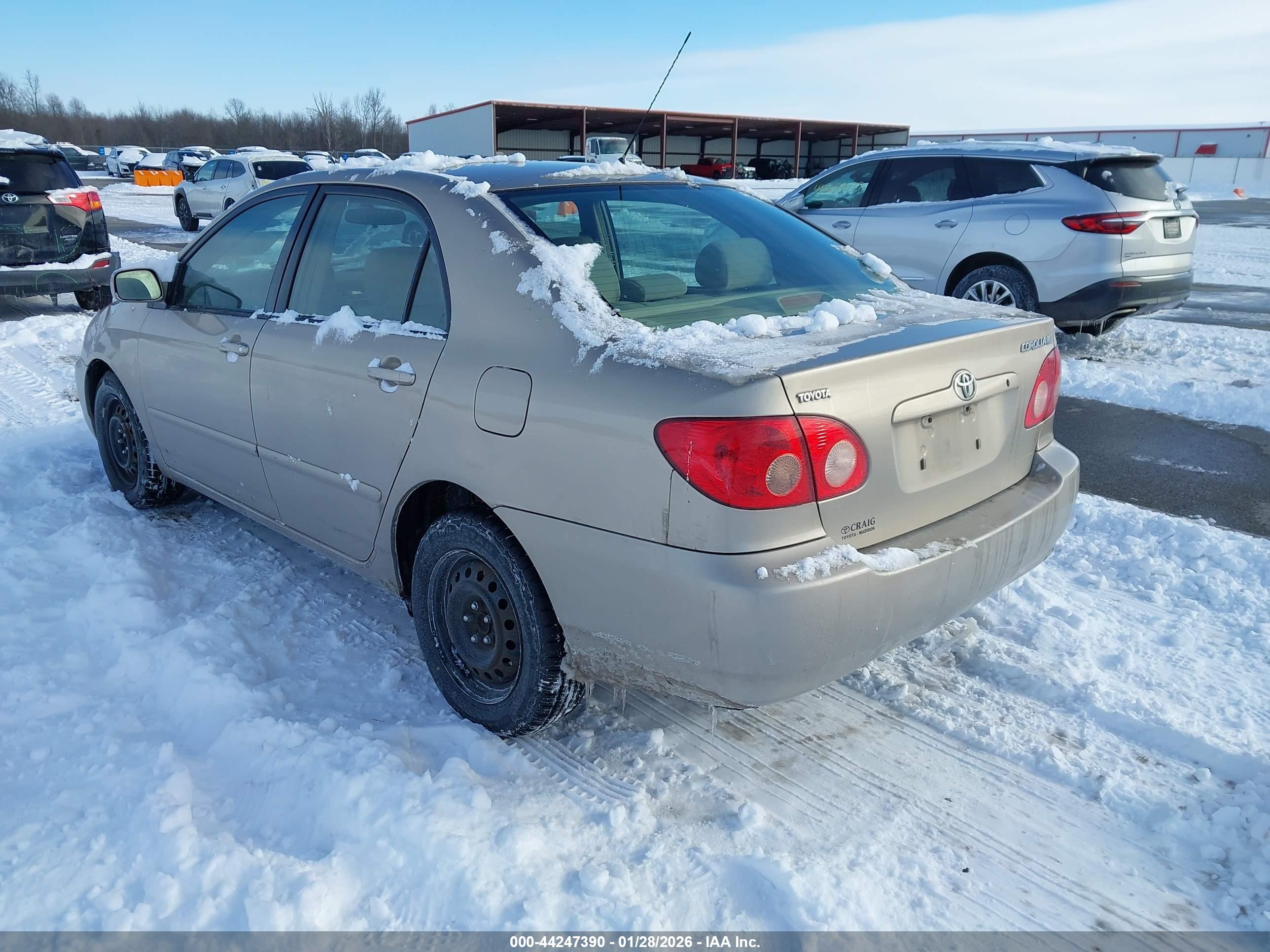 TOYOTA COROLLA image 3