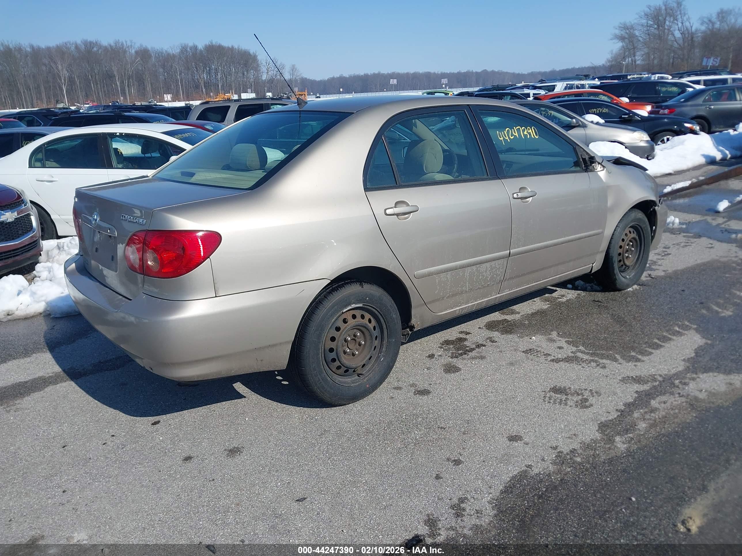 TOYOTA COROLLA image 4