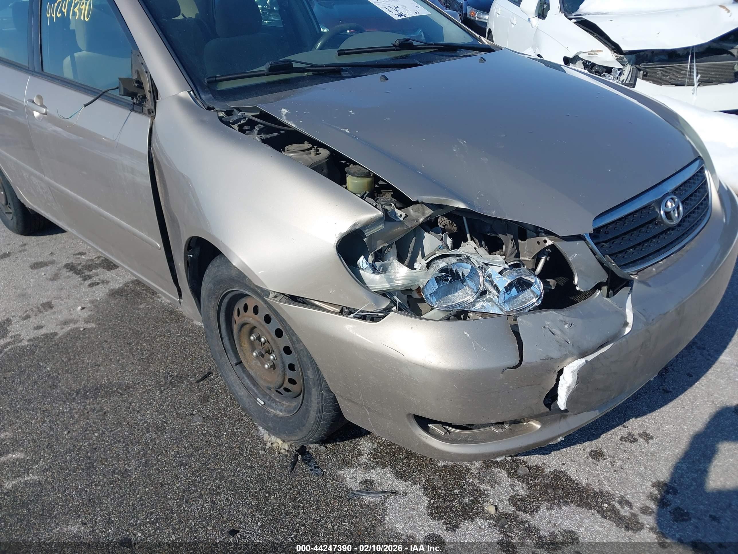 TOYOTA COROLLA image 6