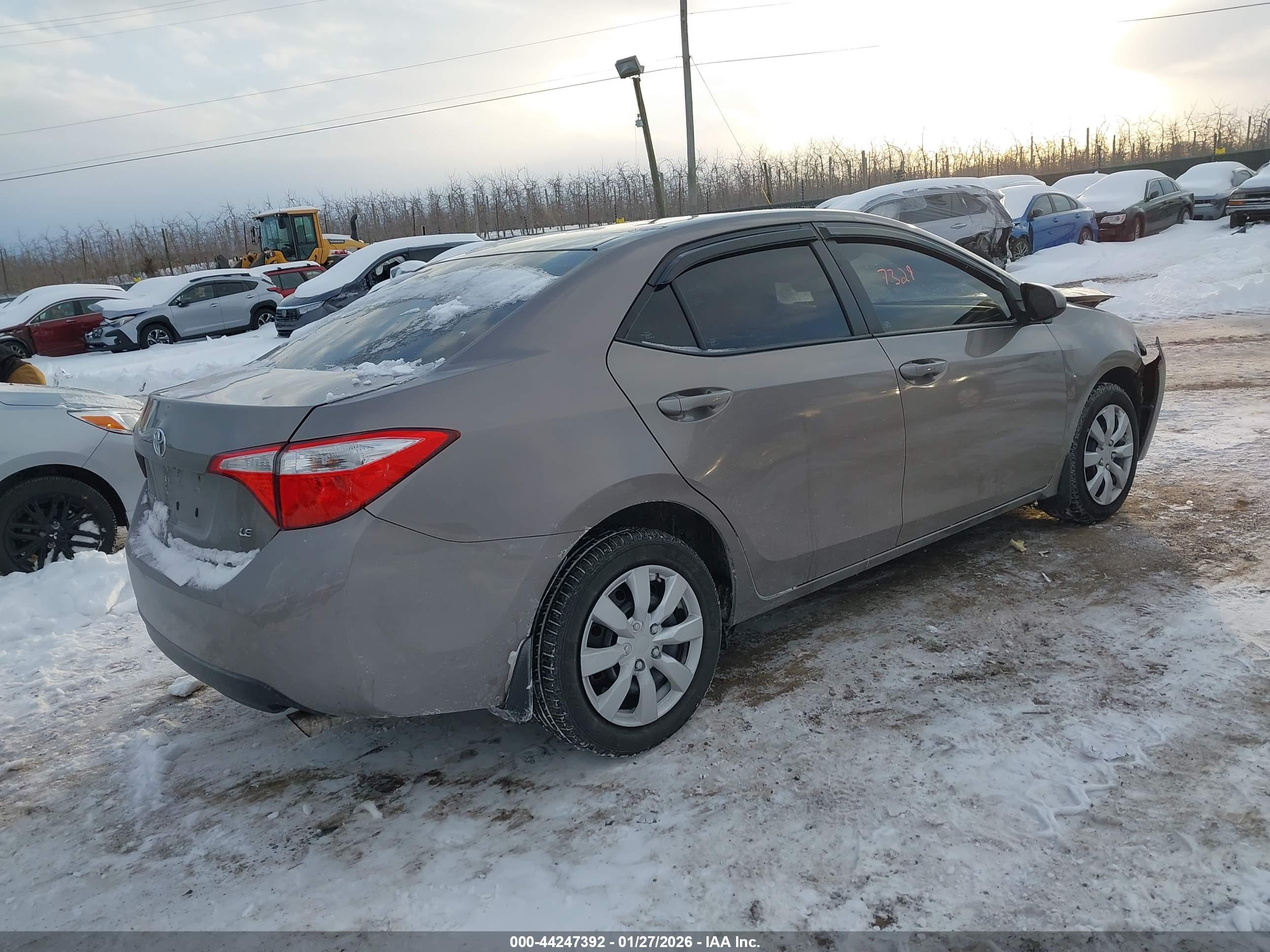 TOYOTA COROLLA image 4