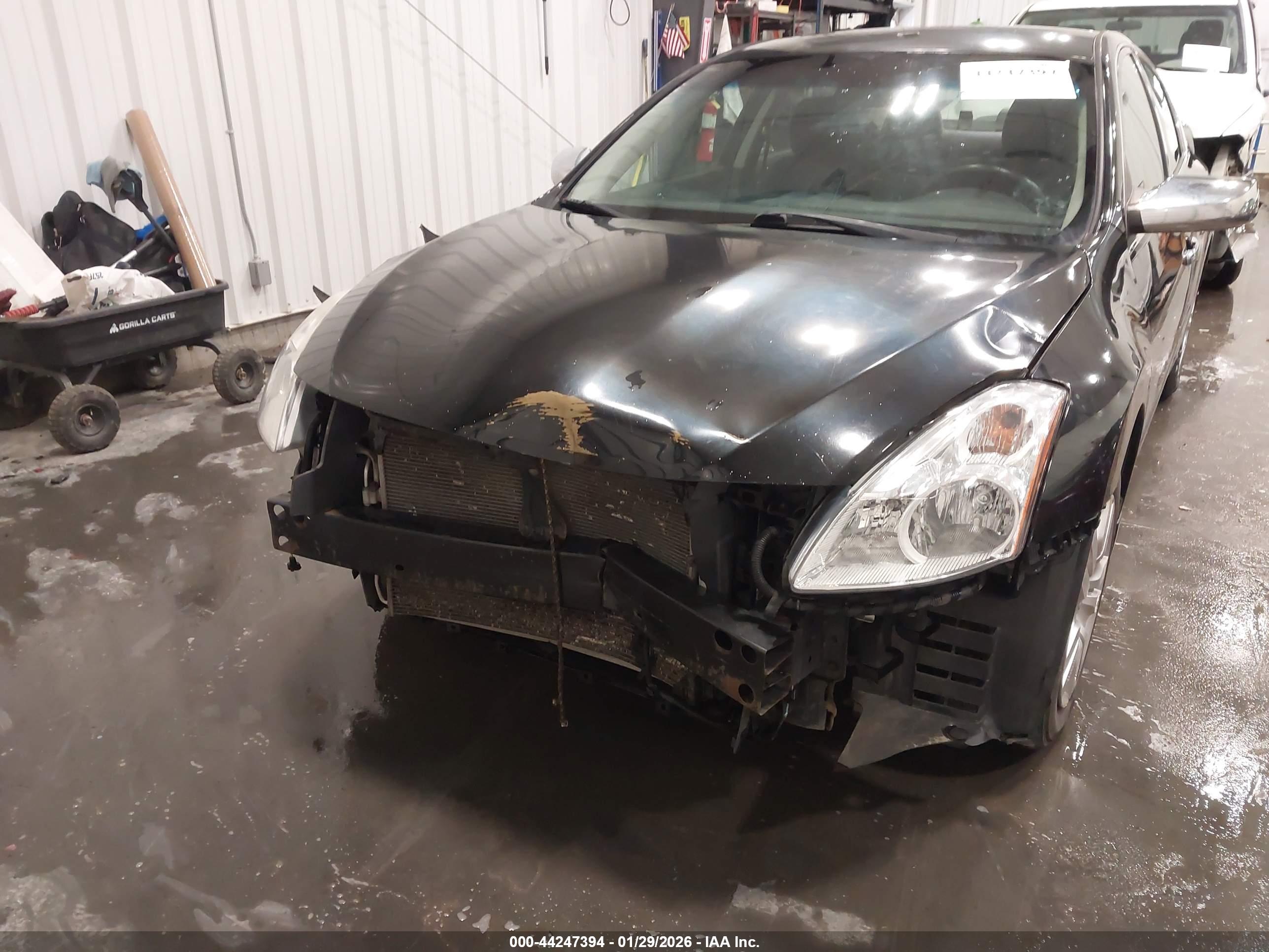 NISSAN ALTIMA image 6