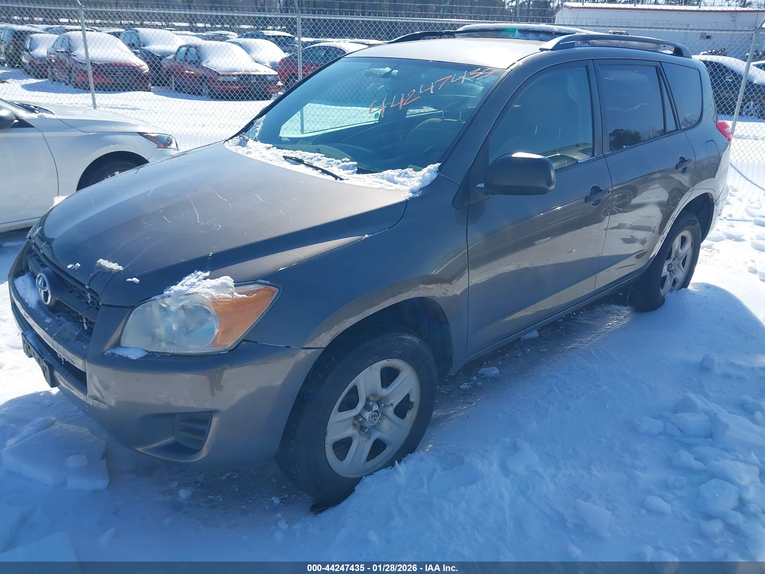 TOYOTA RAV4 image 2