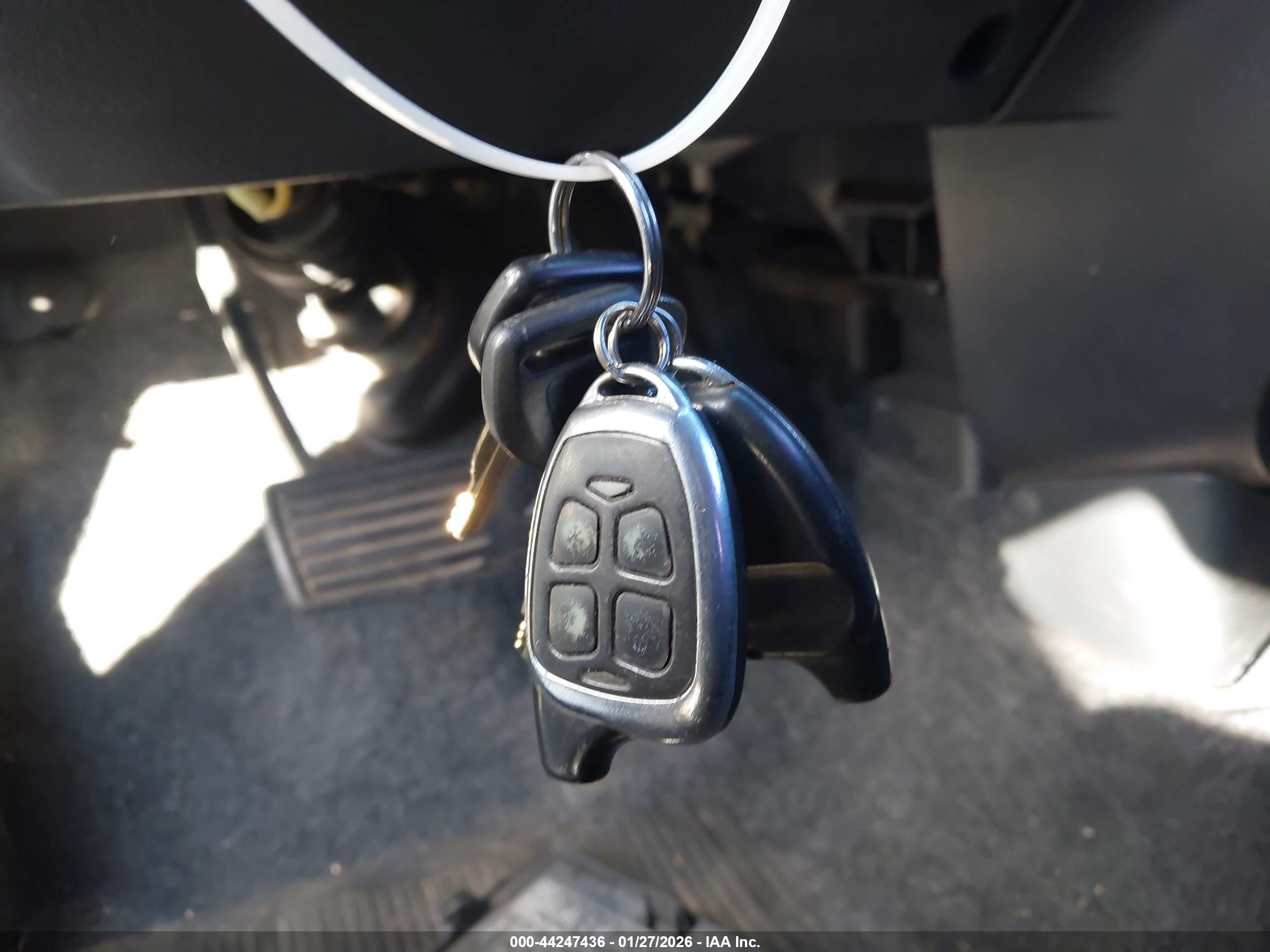 HONDA CR-V image 11