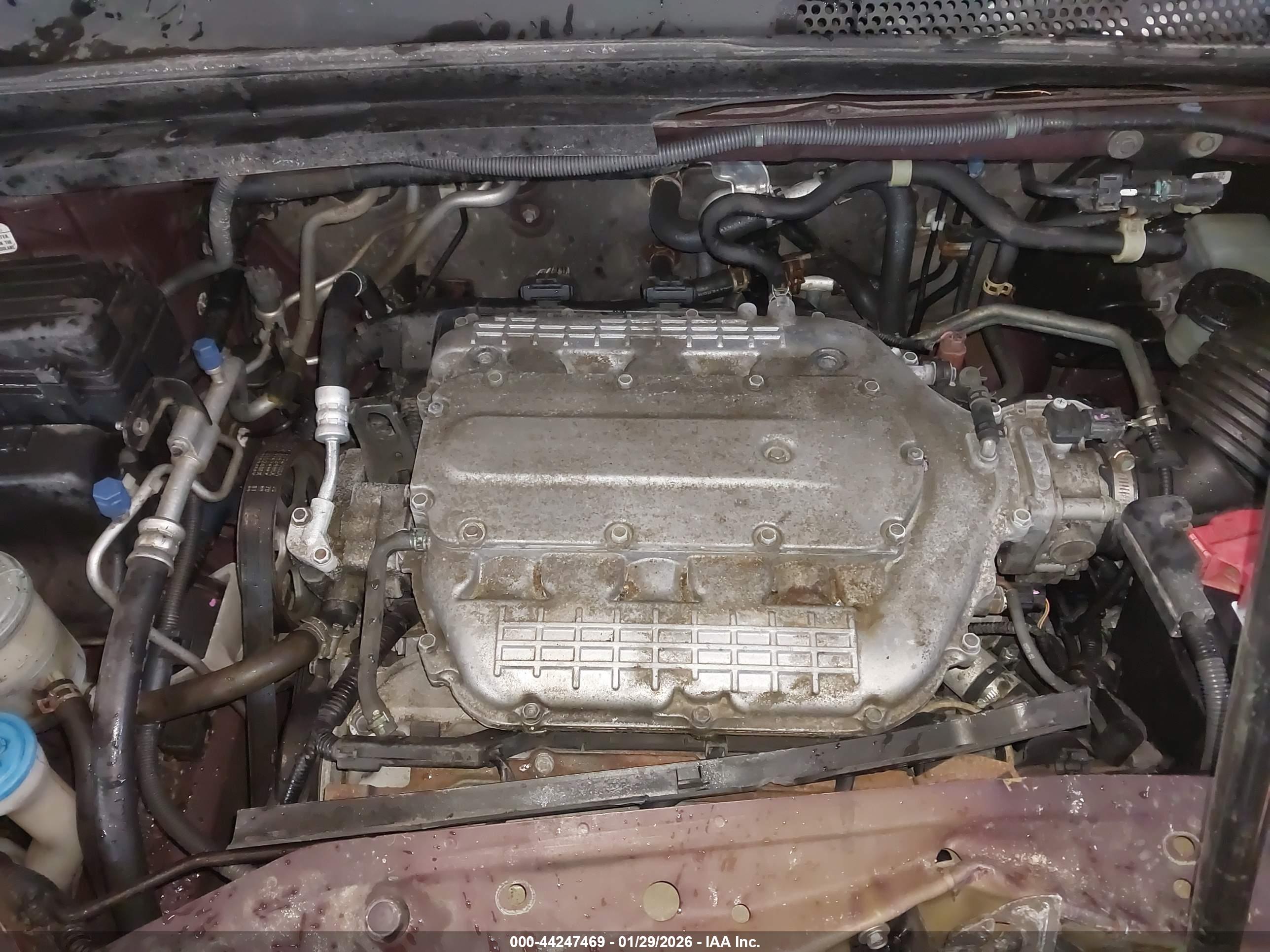 HONDA ODYSSEY image 10