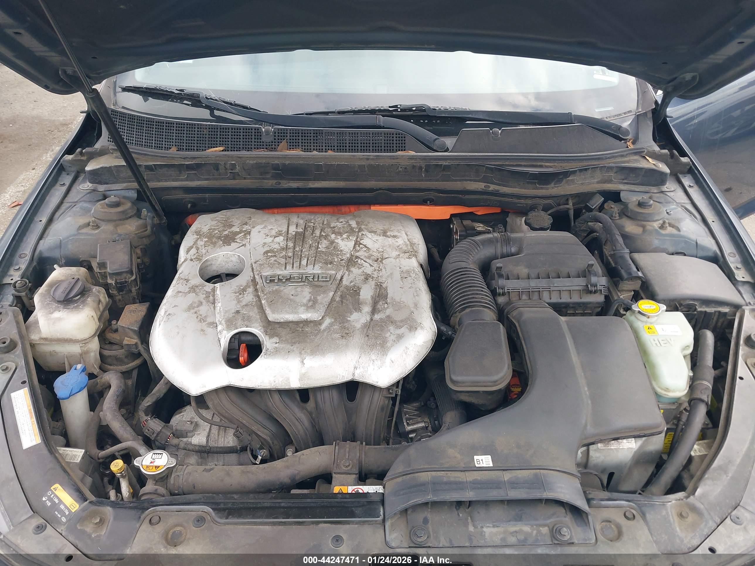 KIA OPTIMA image 10