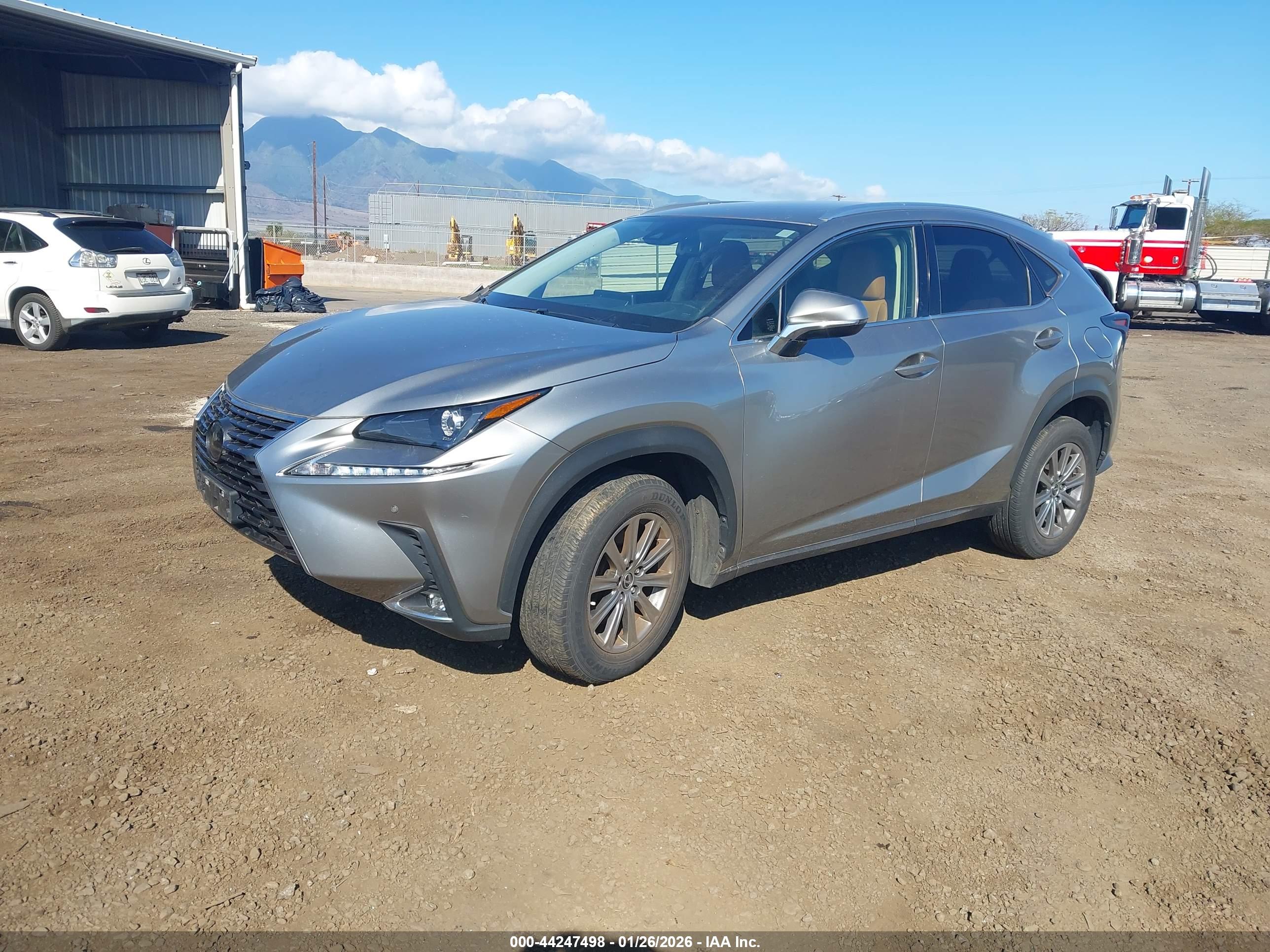 LEXUS NX image 2