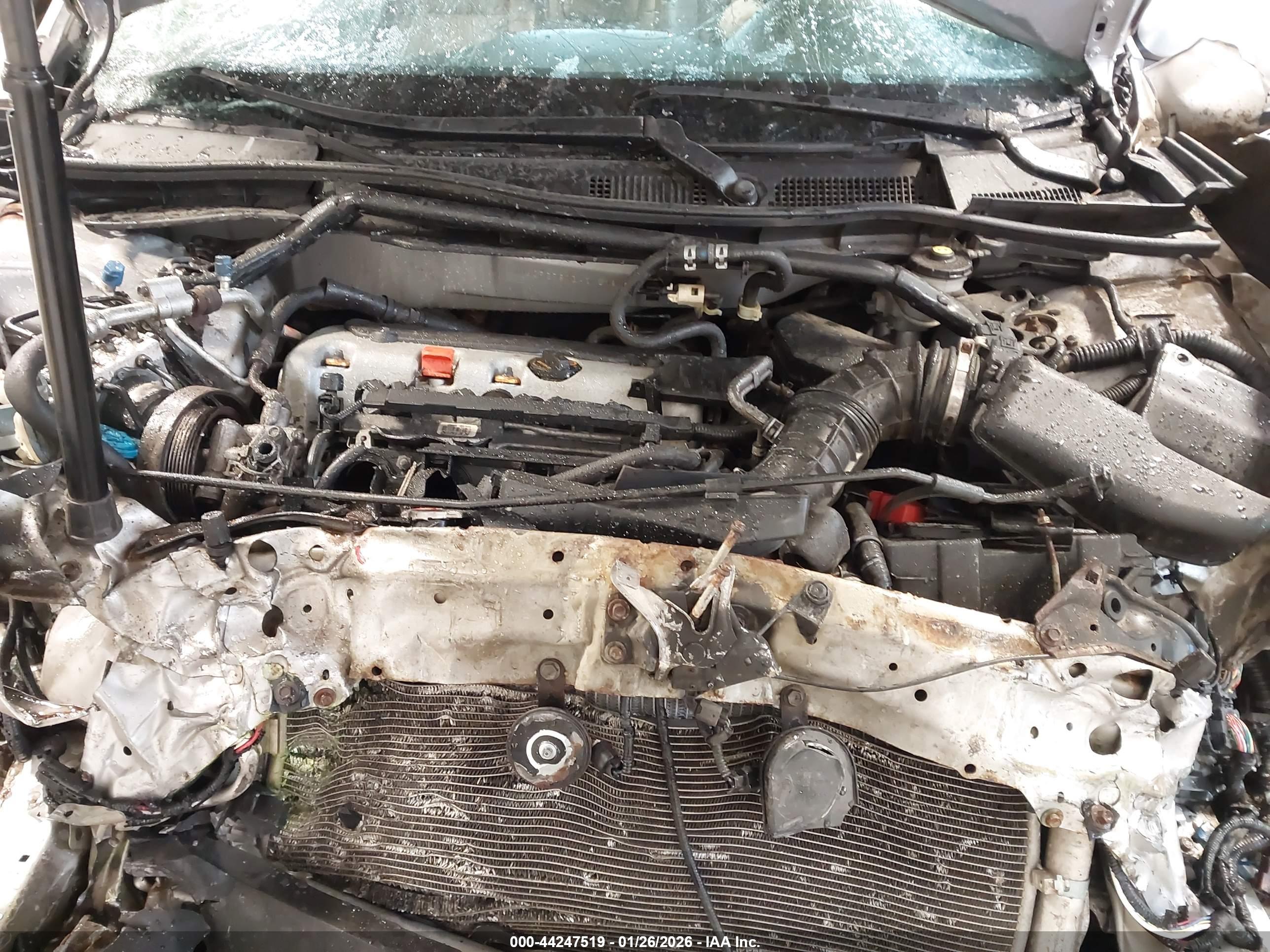 HONDA ACCORD image 10