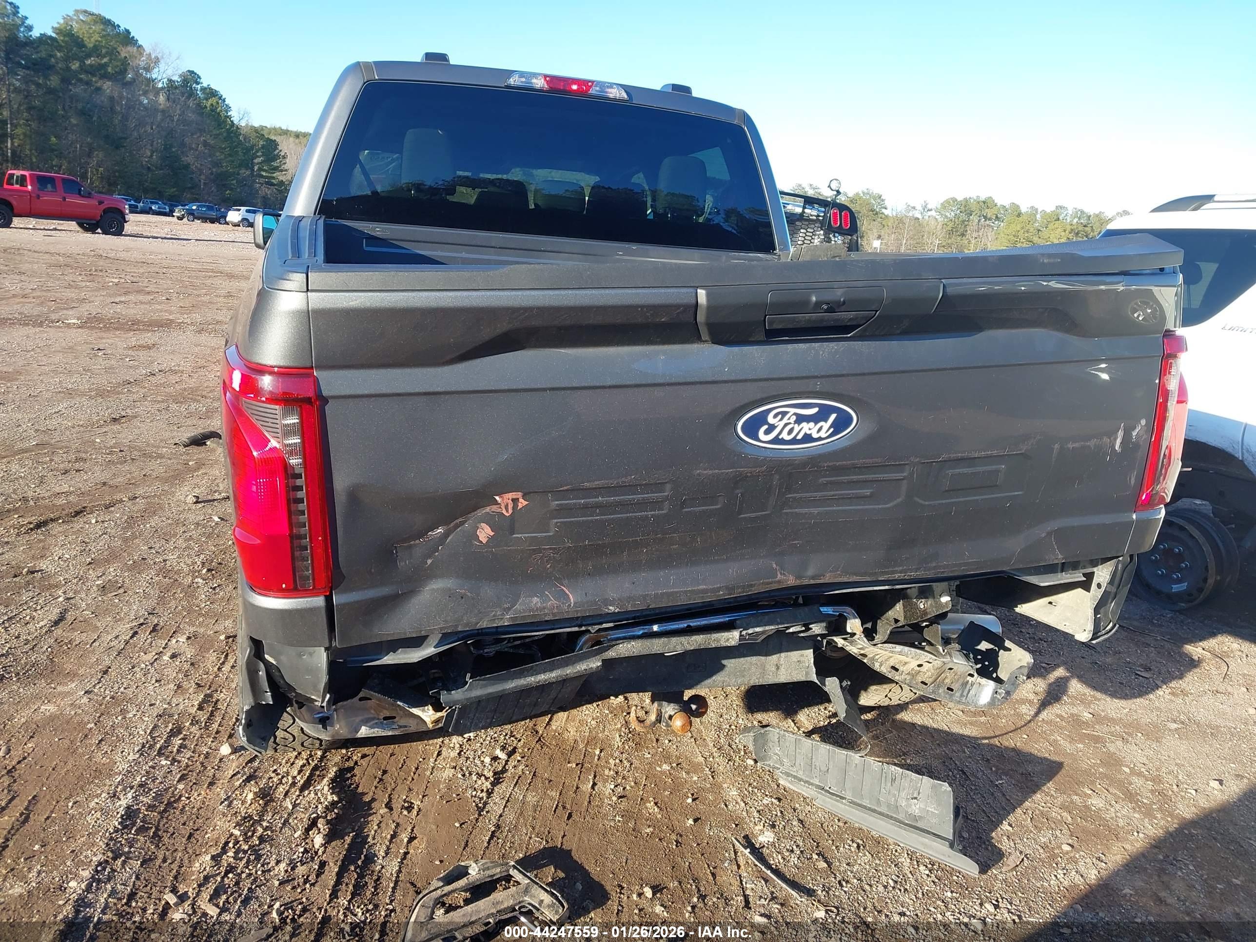 FORD F-150 image 6