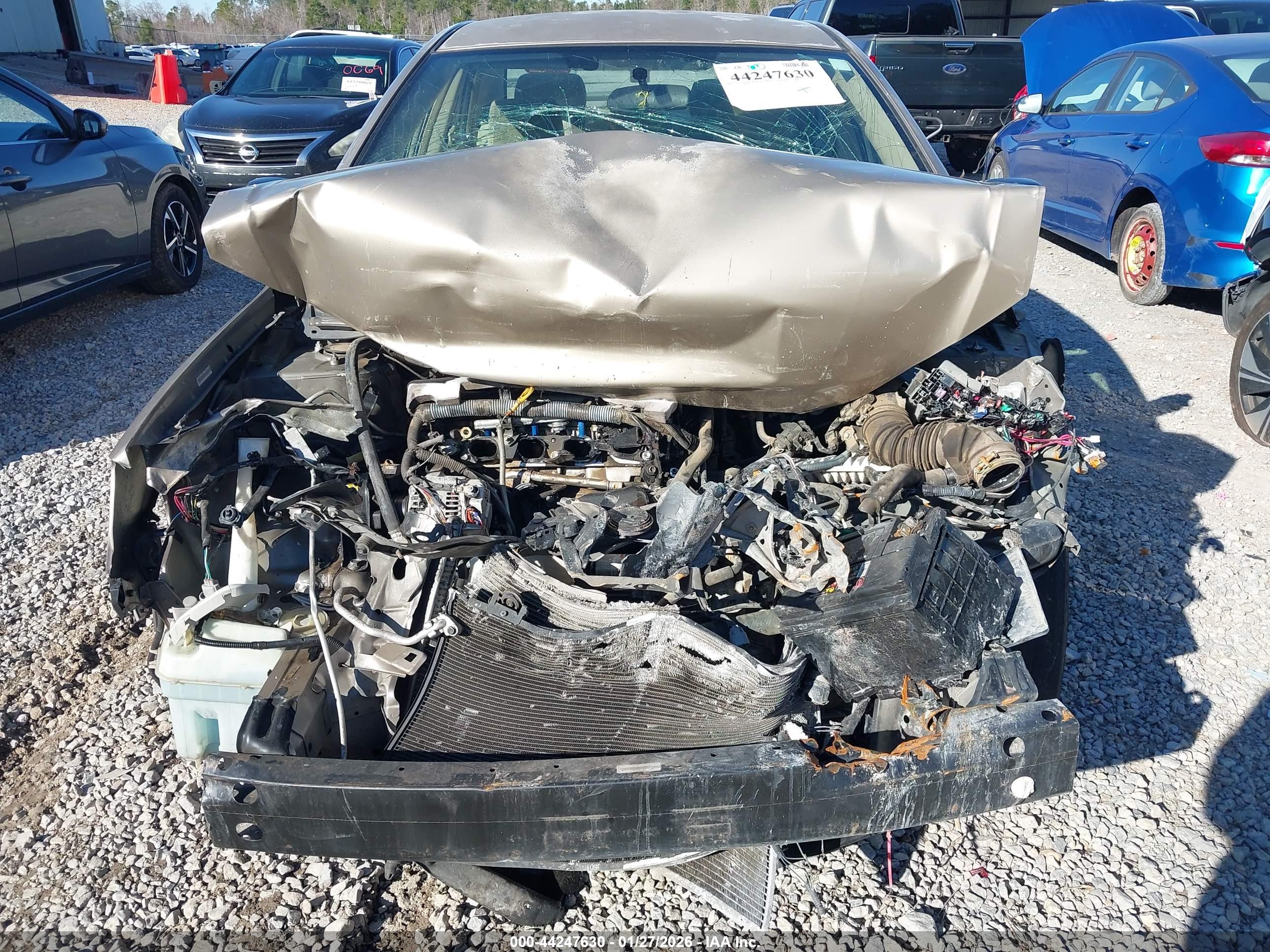 TOYOTA COROLLA image 6