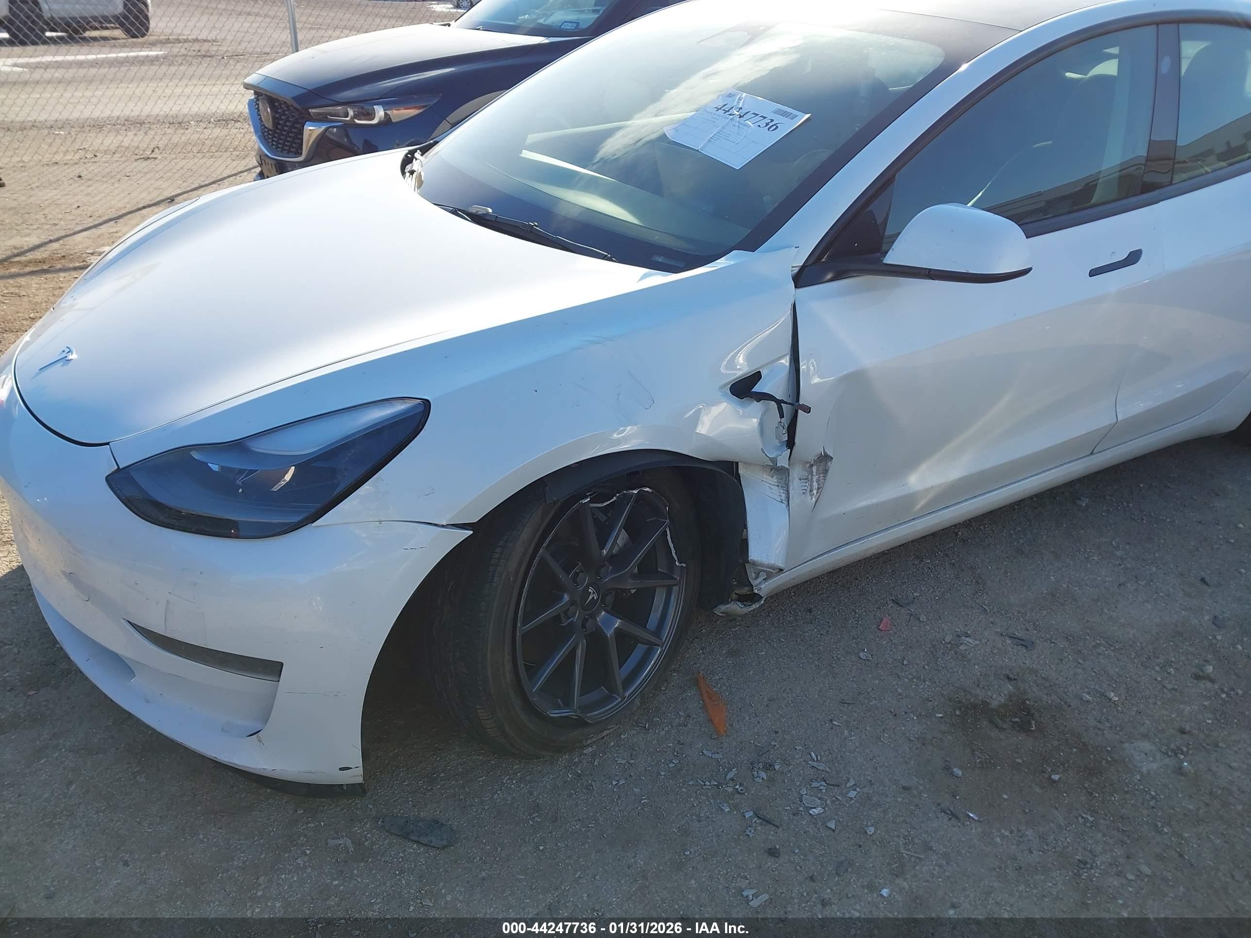 TESLA MODEL image 6