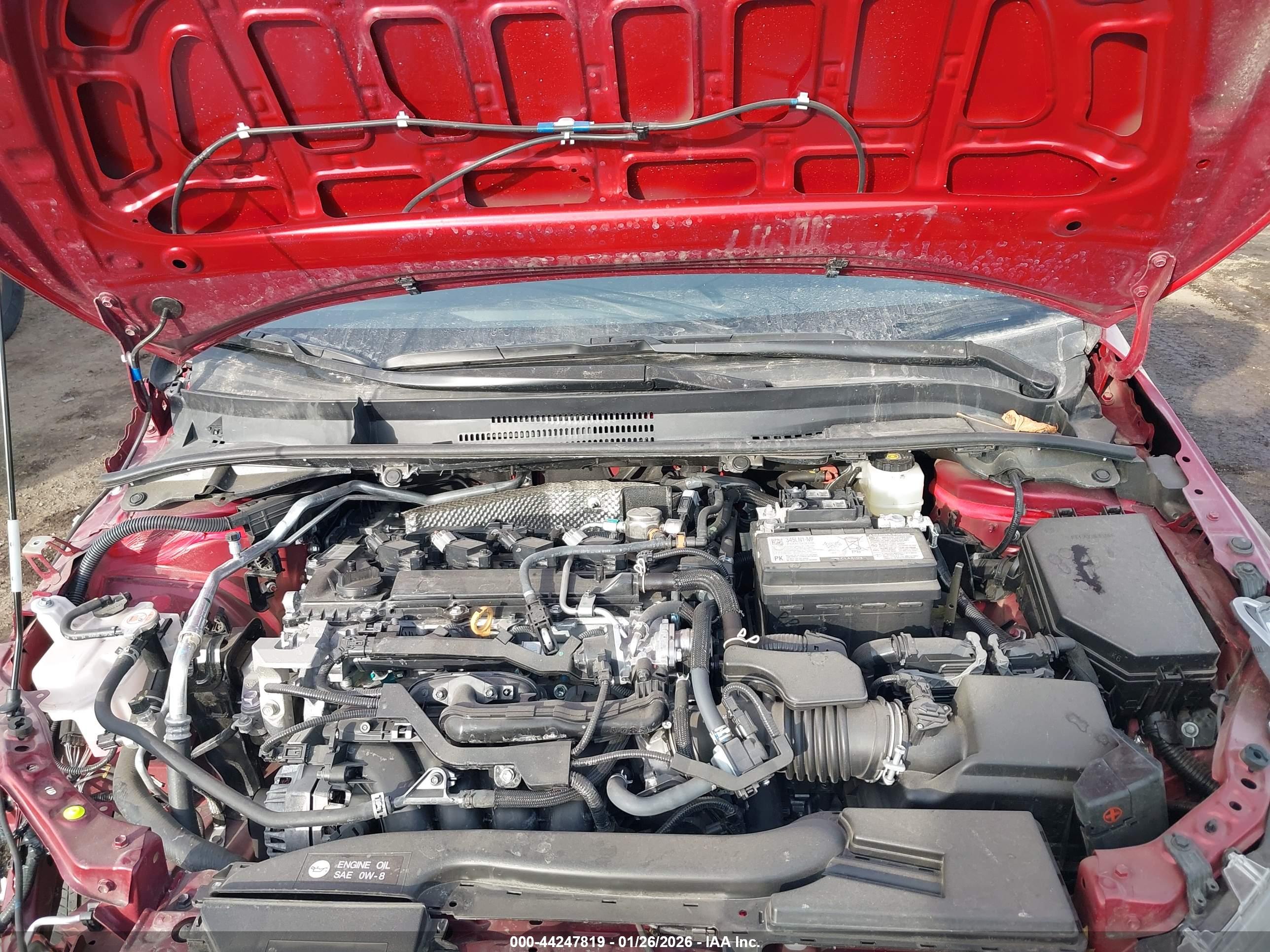 TOYOTA COROLLA image 10