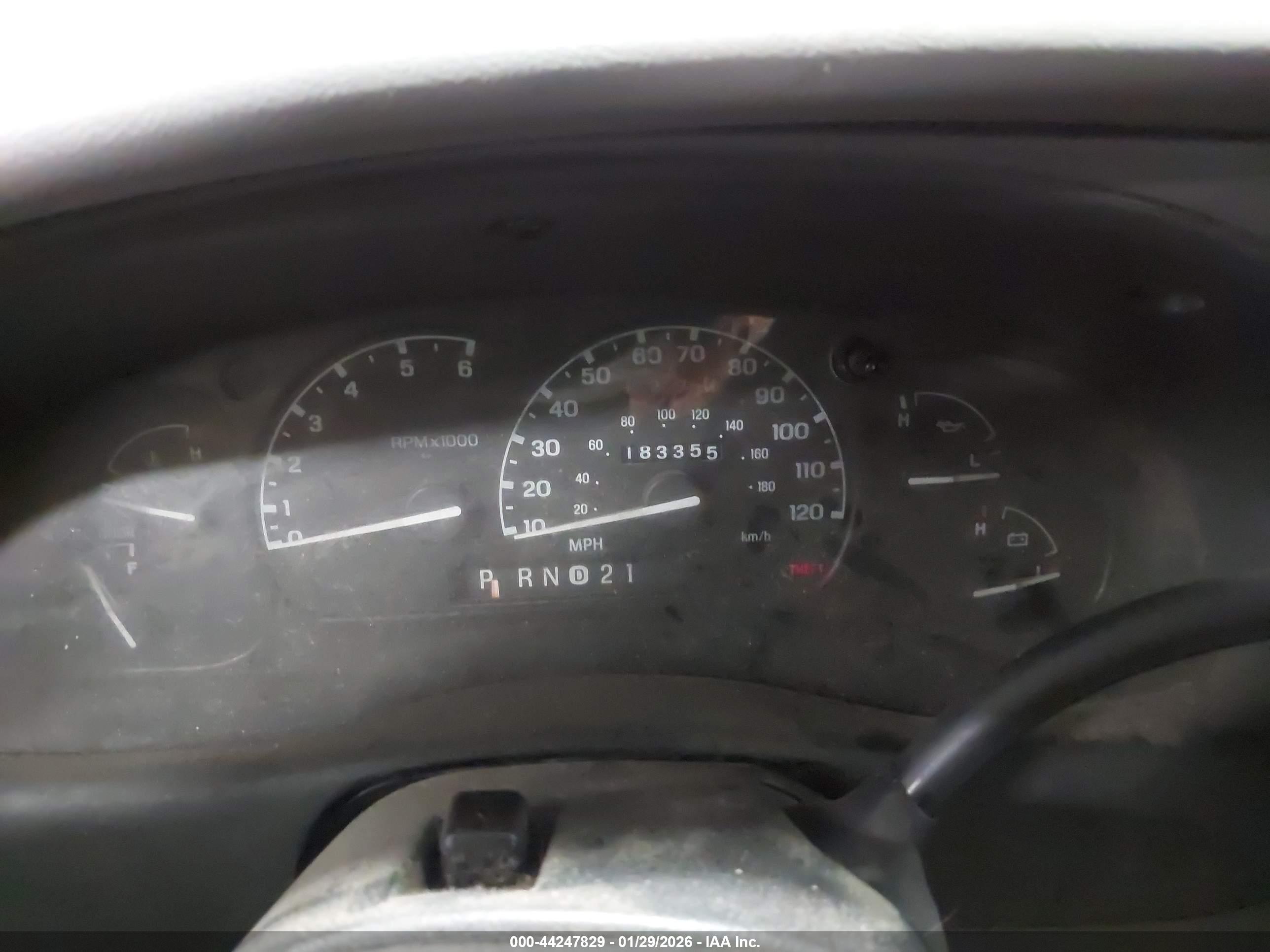 FORD RANGER image 7