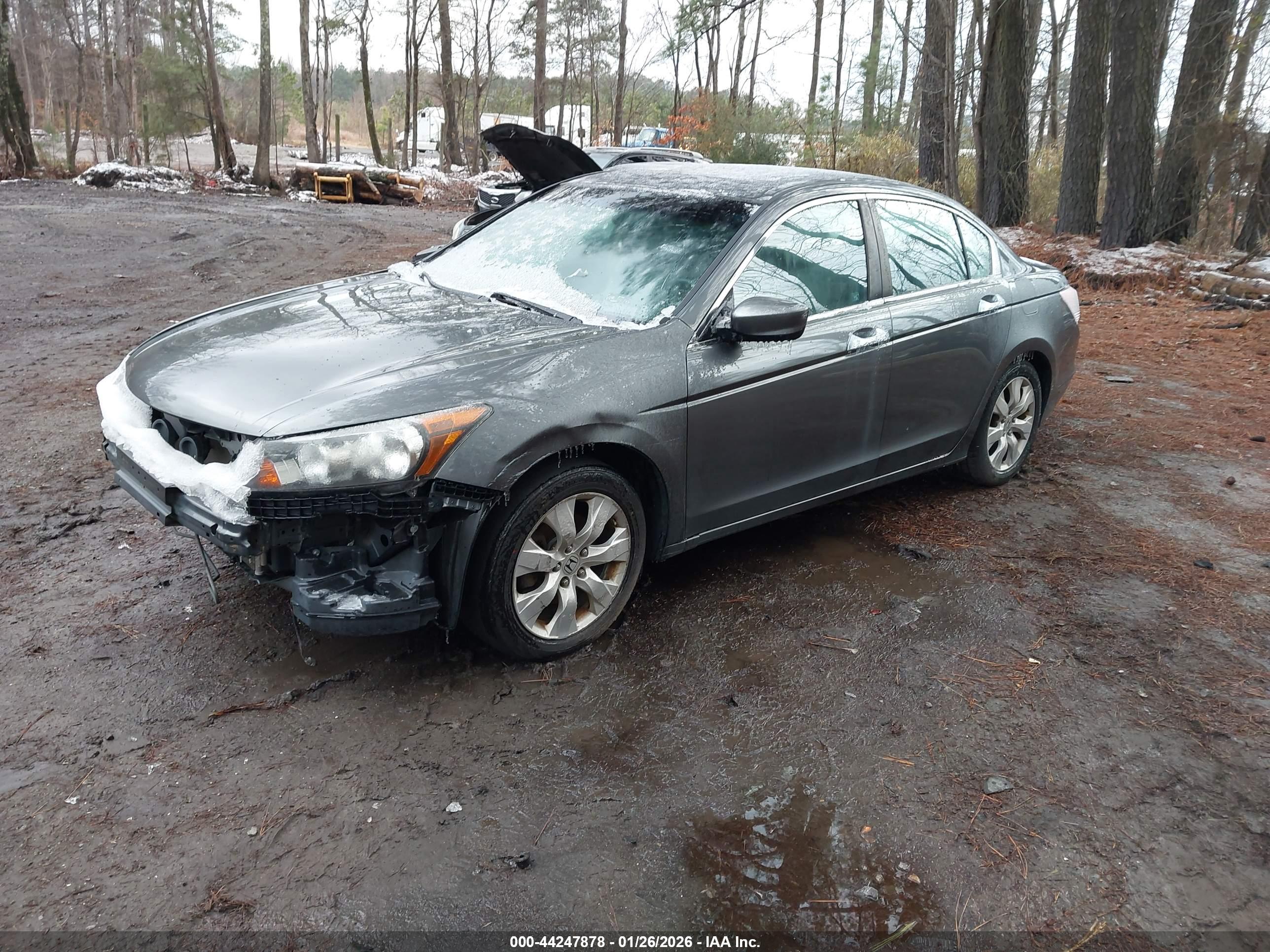 HONDA ACCORD image 2