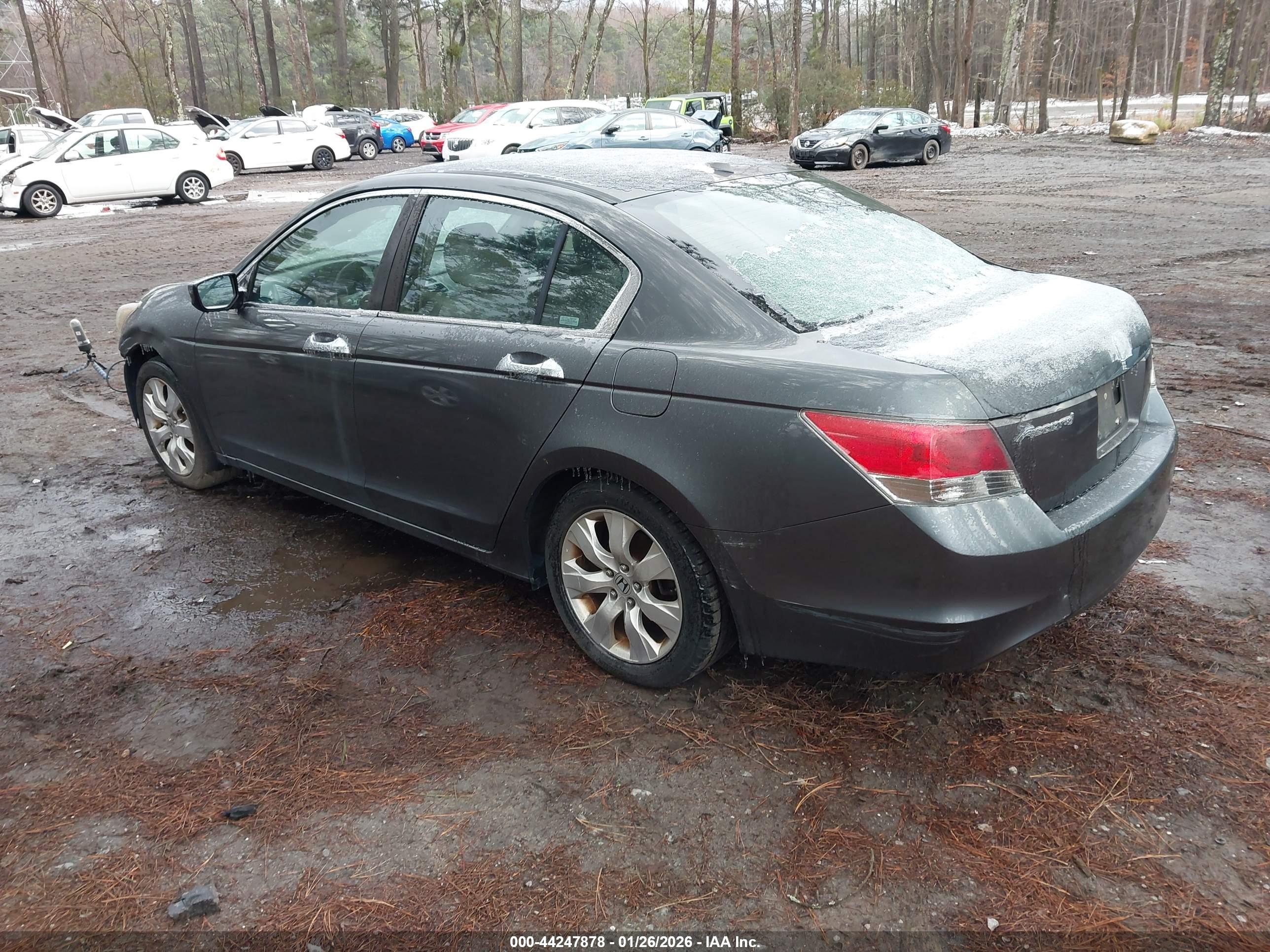 HONDA ACCORD image 3