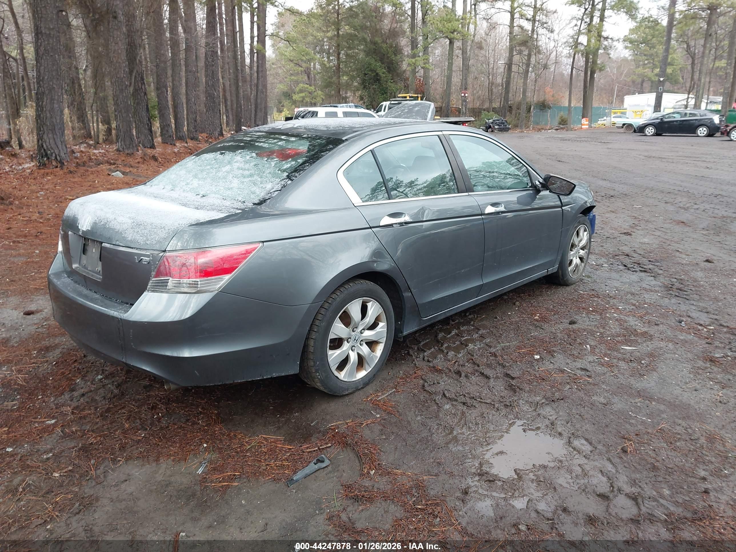 HONDA ACCORD image 4