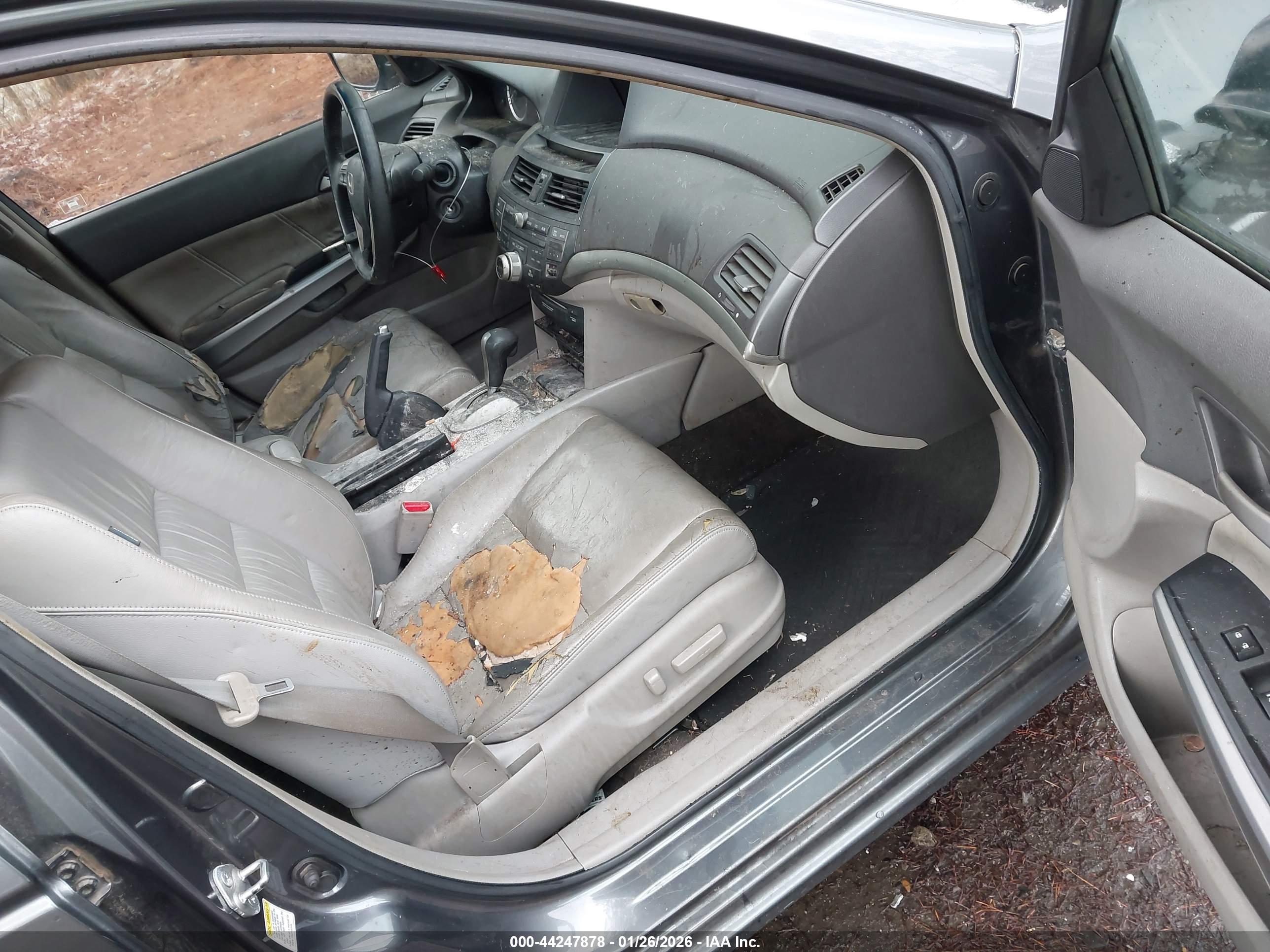 HONDA ACCORD image 5